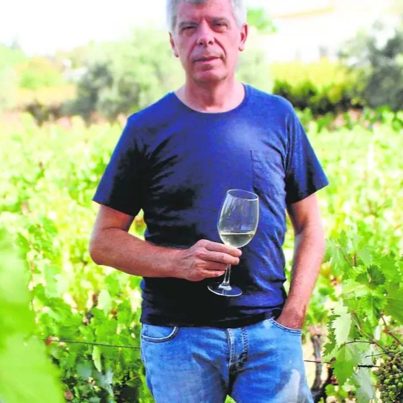 Bodegas Robles