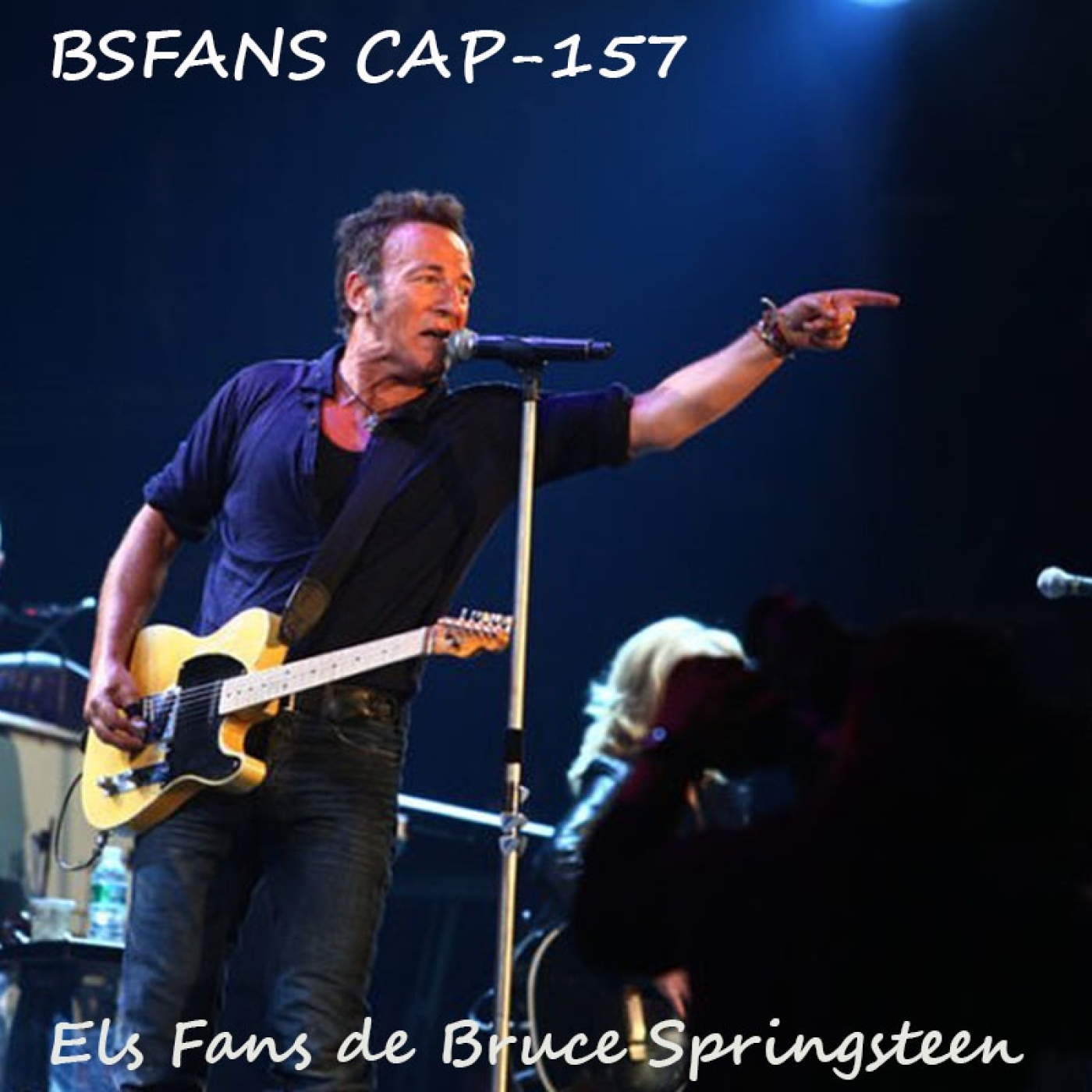 Els Fans de Bruce Springsteen