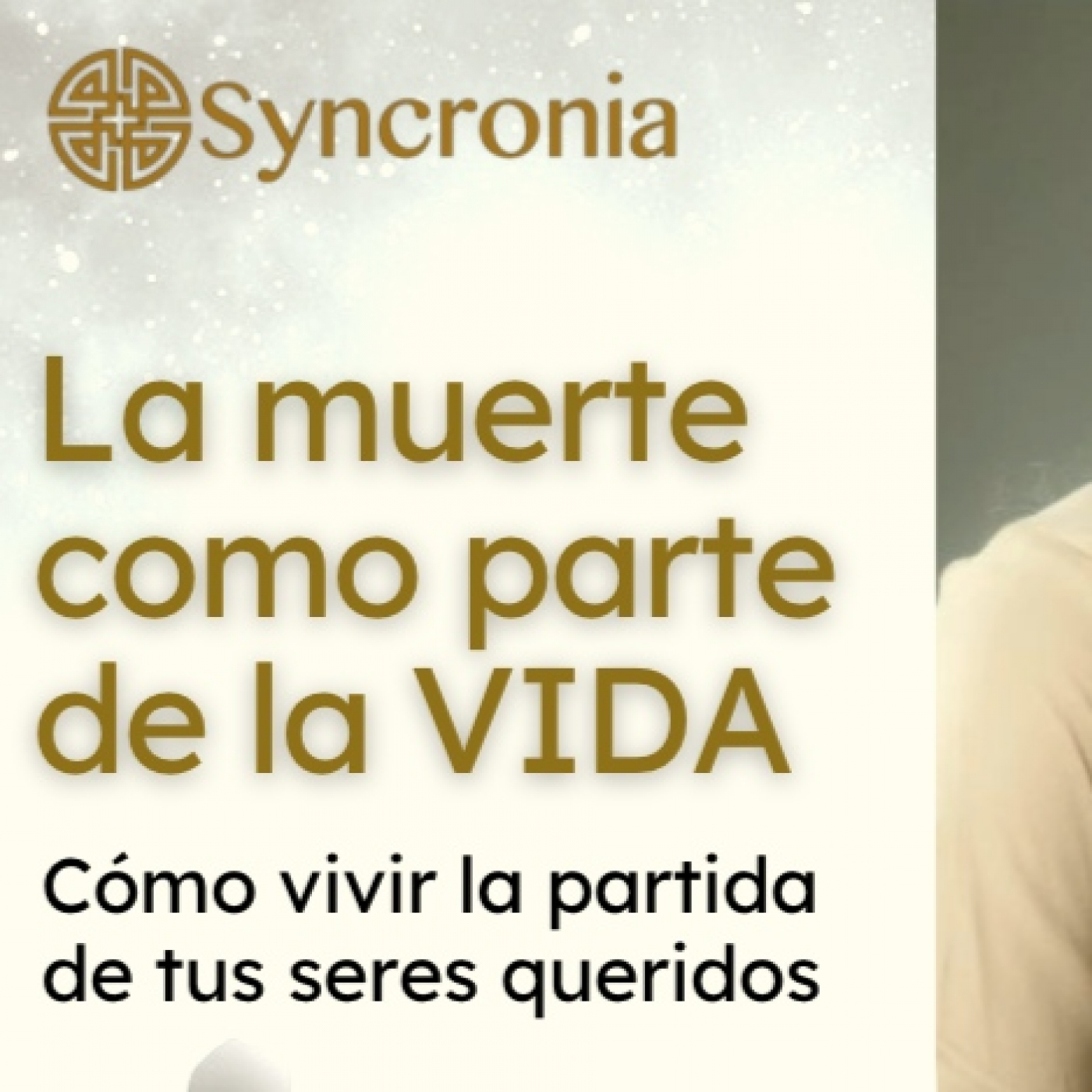 Charlas Syncronia
