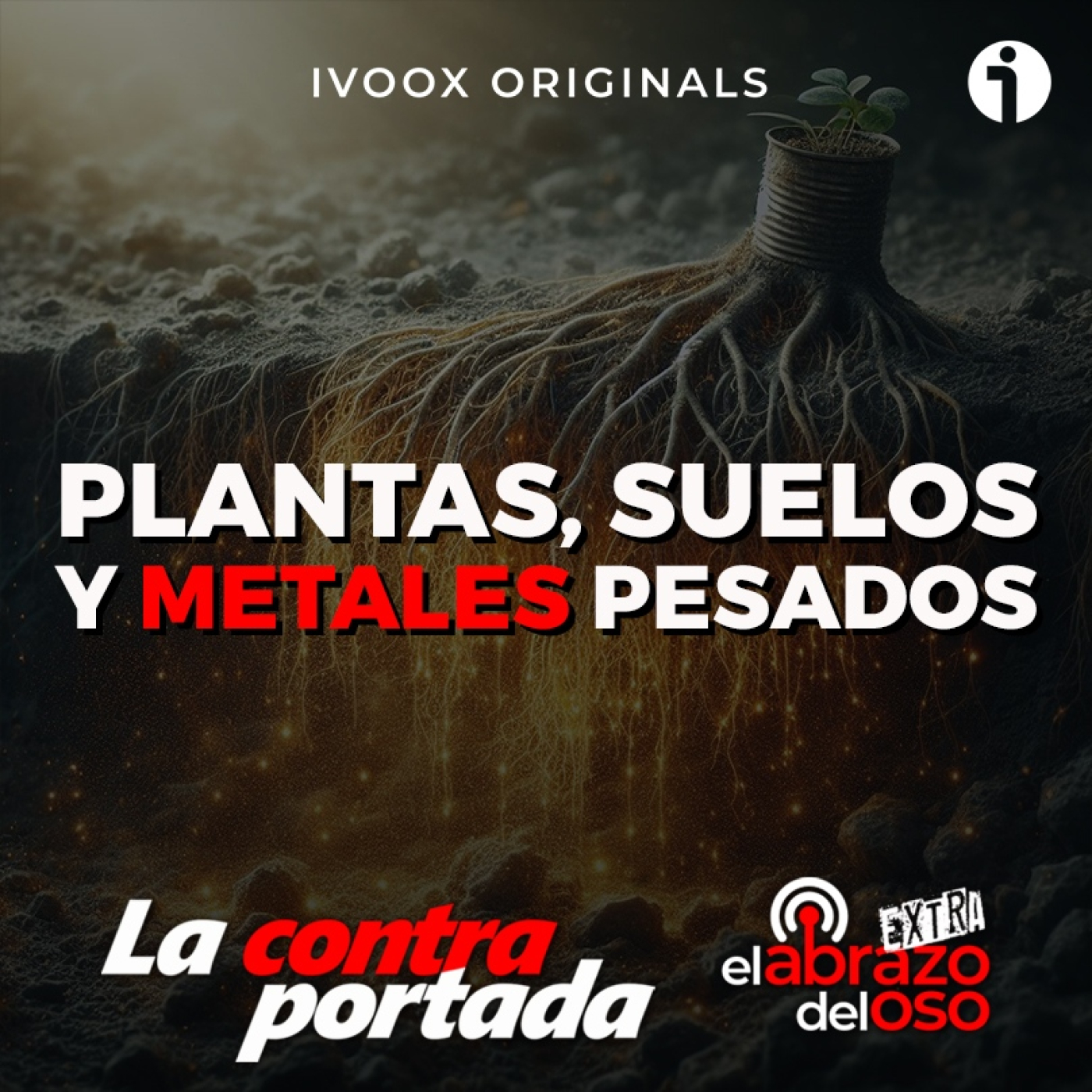 El Abrazo del Oso Podcast