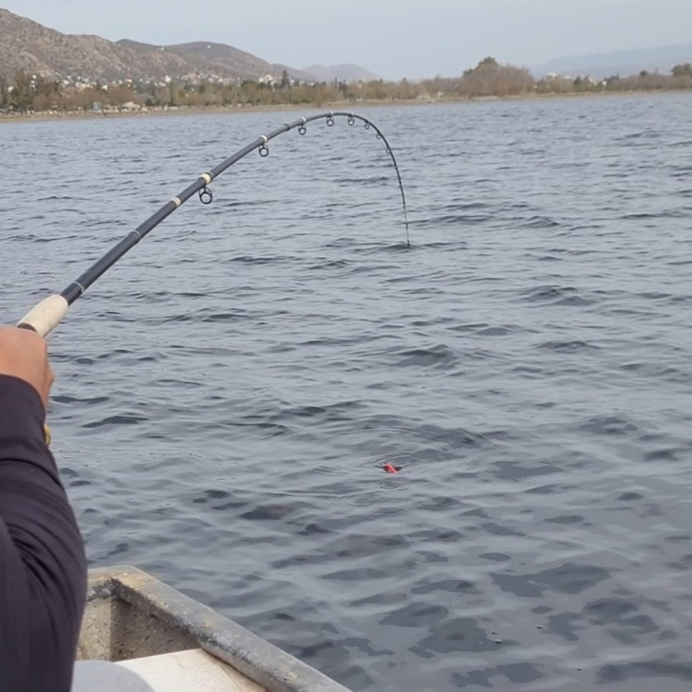 Planeta Pesca