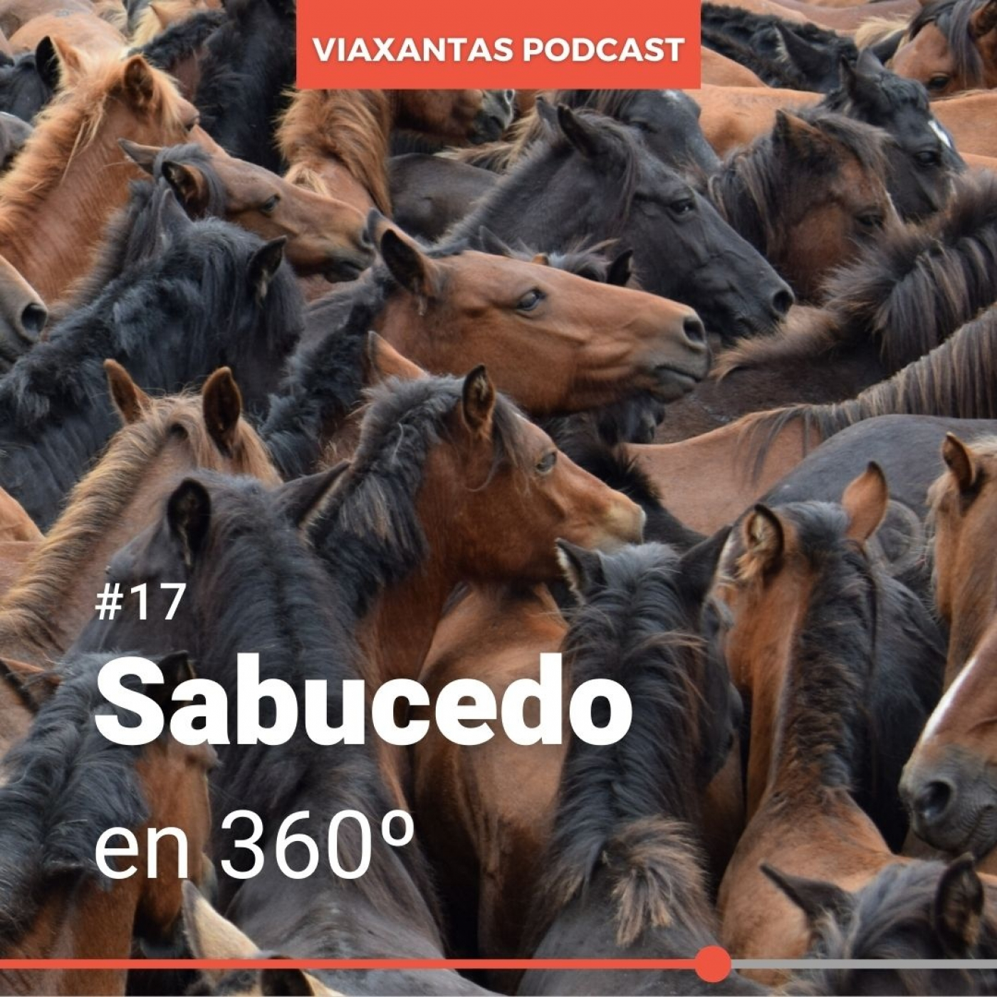 Viaxantas Podcast