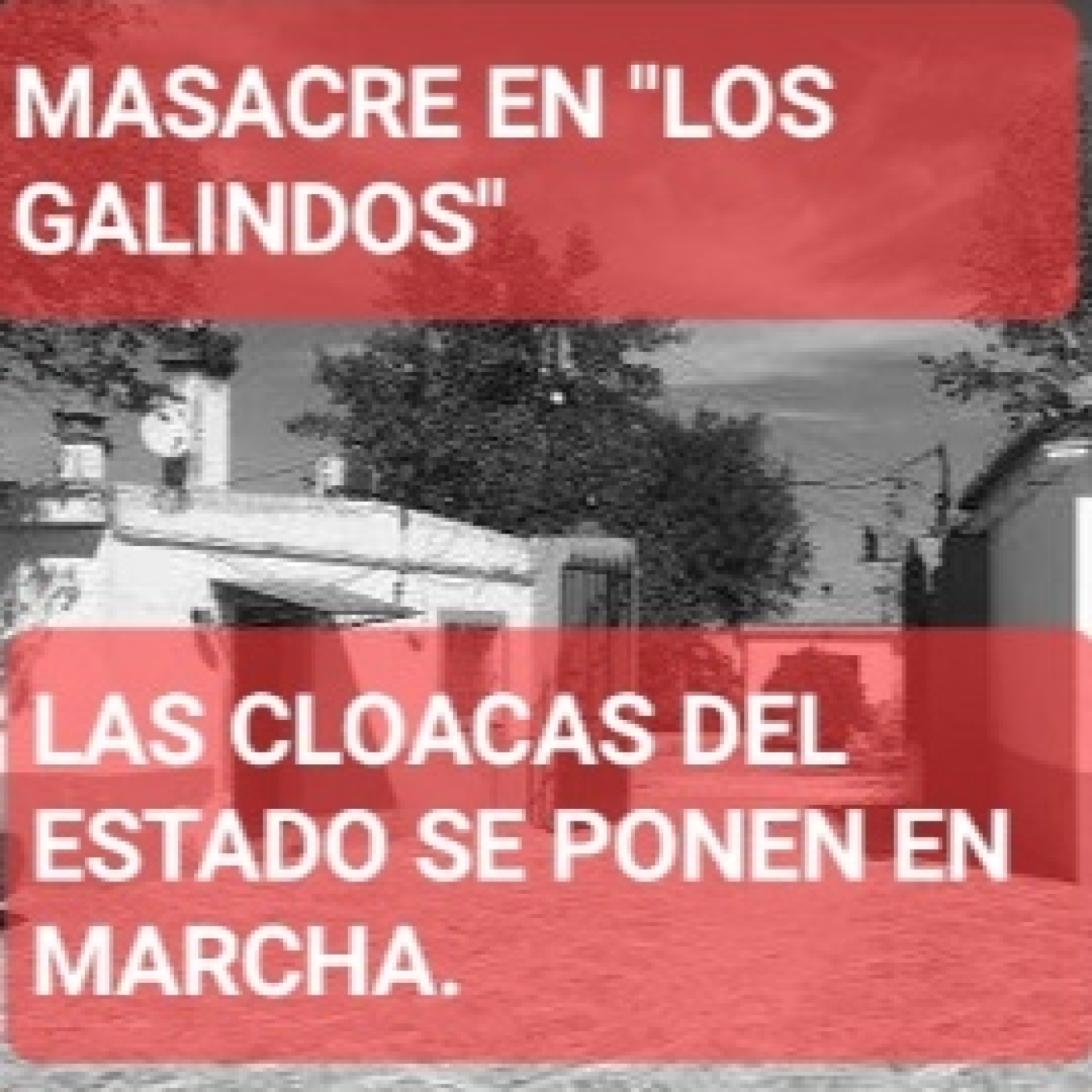 CRÓNICAS DE UN SERENO . ( El gato negro)