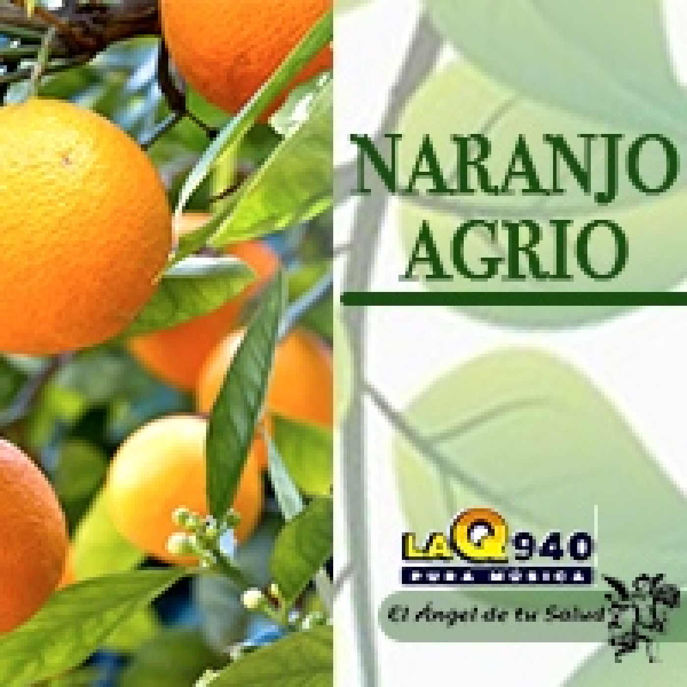 EL ÁNGEL DE TU SALUD