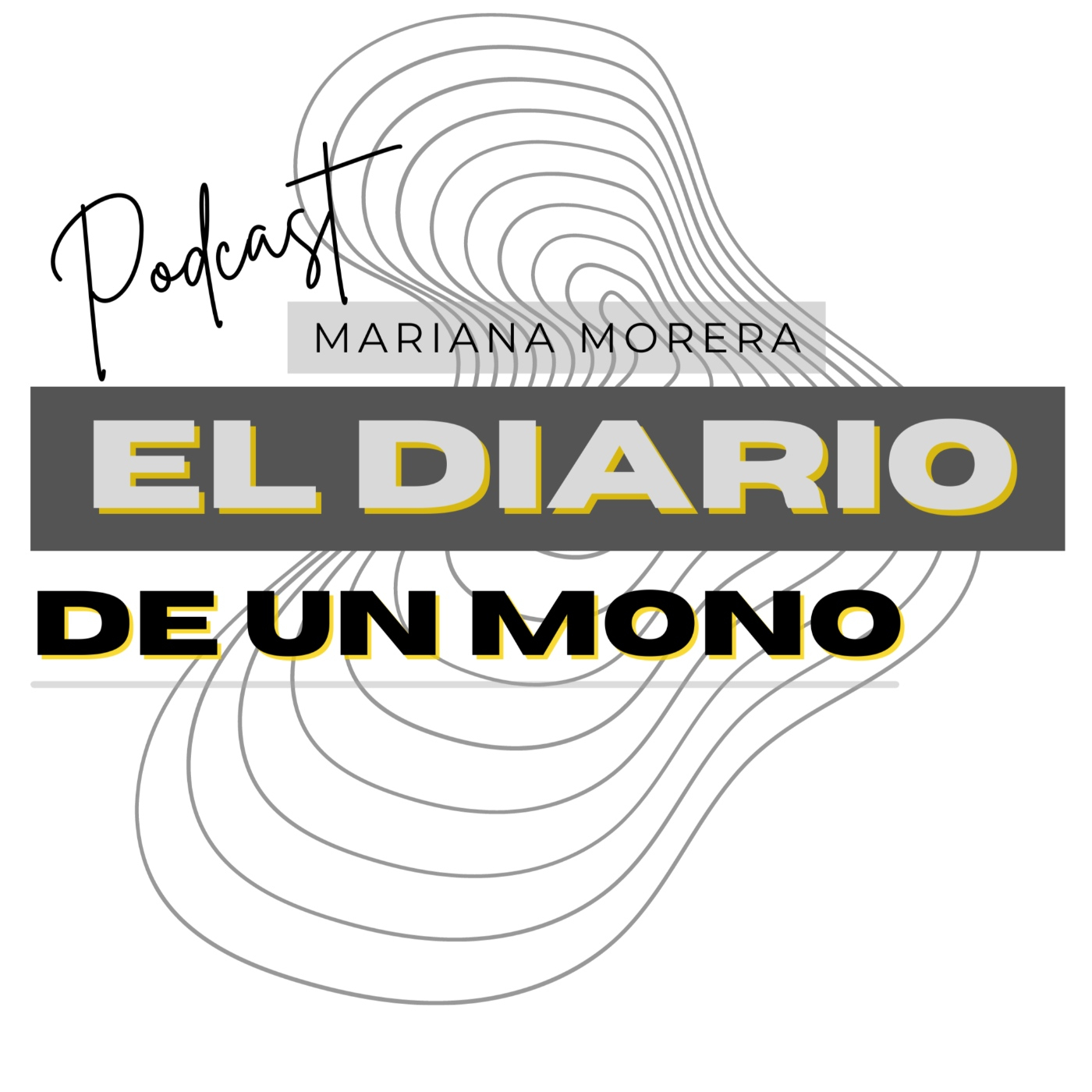 El Diario de un artista