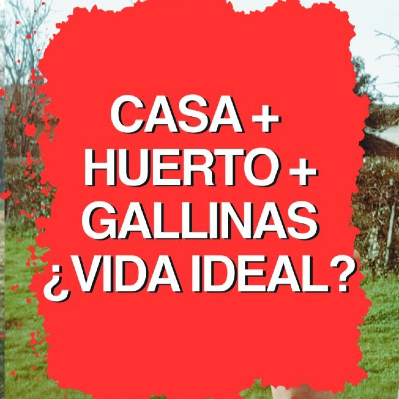 3 claves para encontrar tu lugar en el campo (sin idealizarlo)