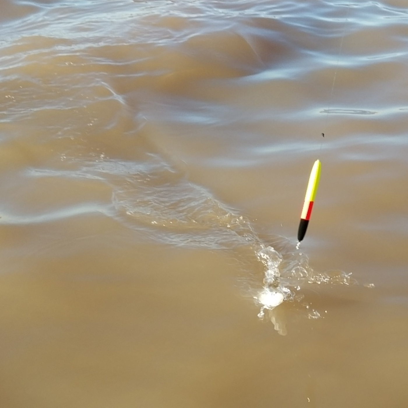 Planeta Pesca