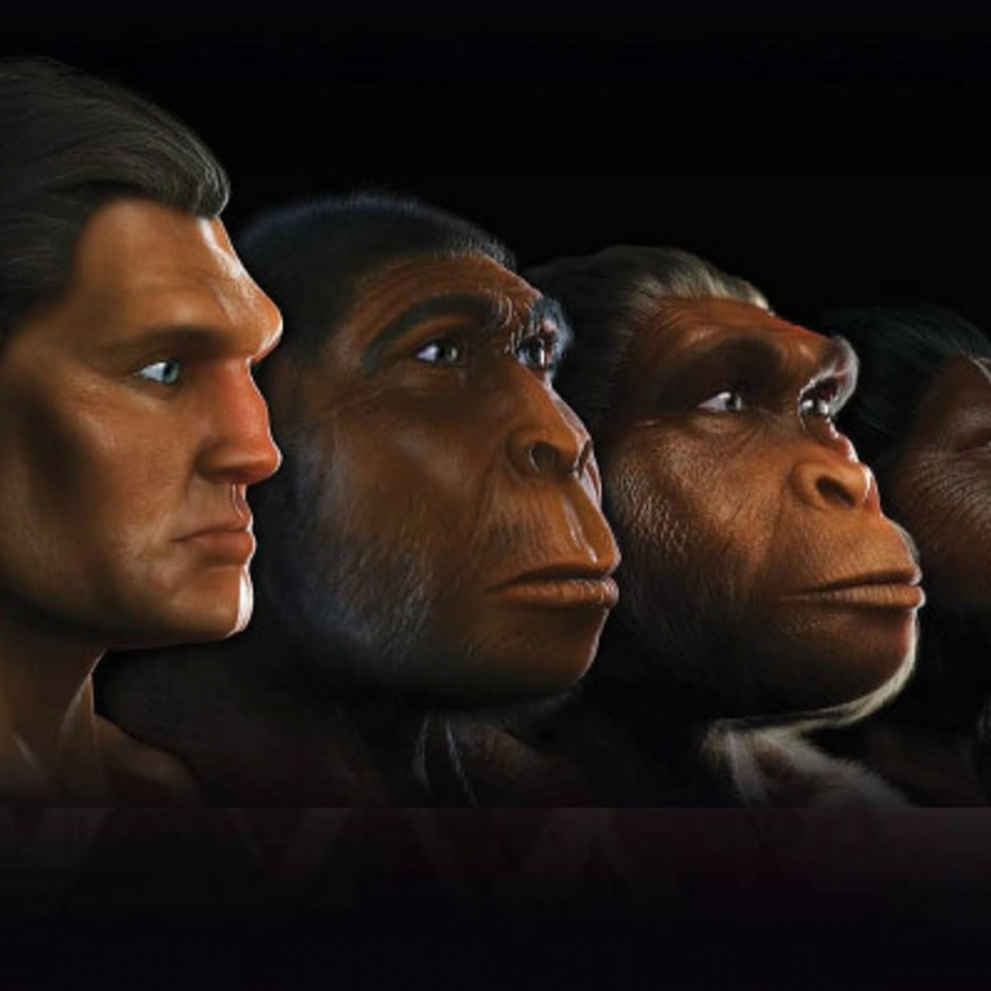 390 - Evolución Humana 2 - Episodio exclusivo para mecenas