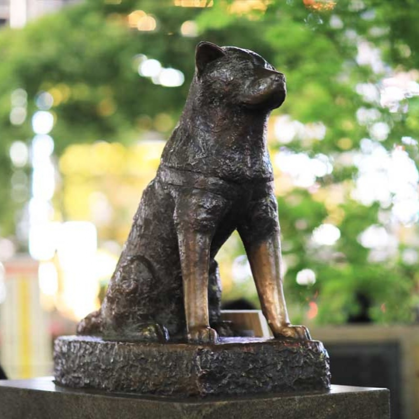 Entre Músiques 165. Hachiko... (valencià) episode artwork