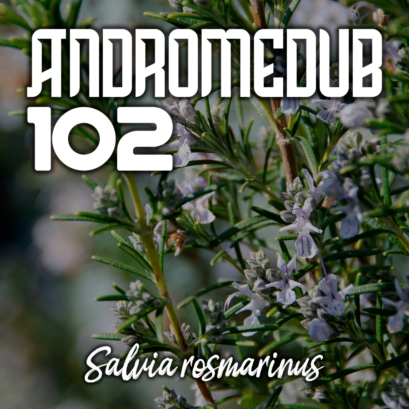 Andromedub