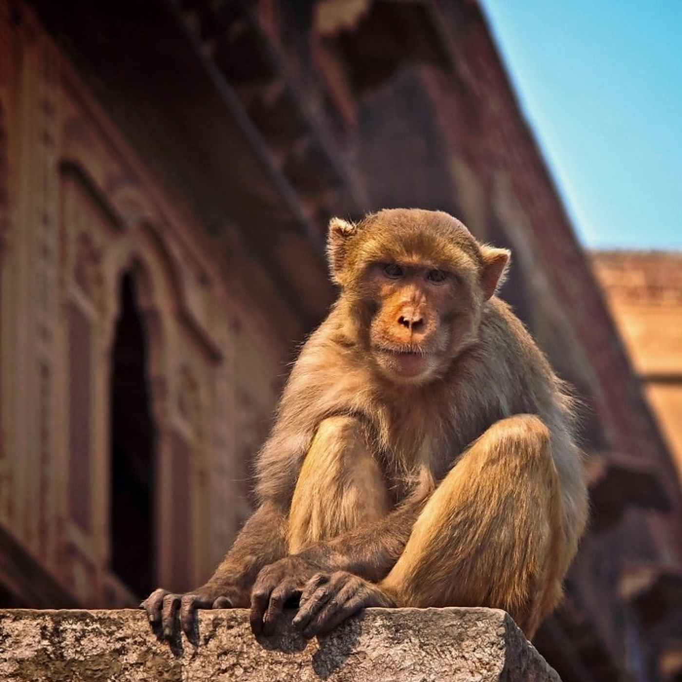 El reto de la verdad