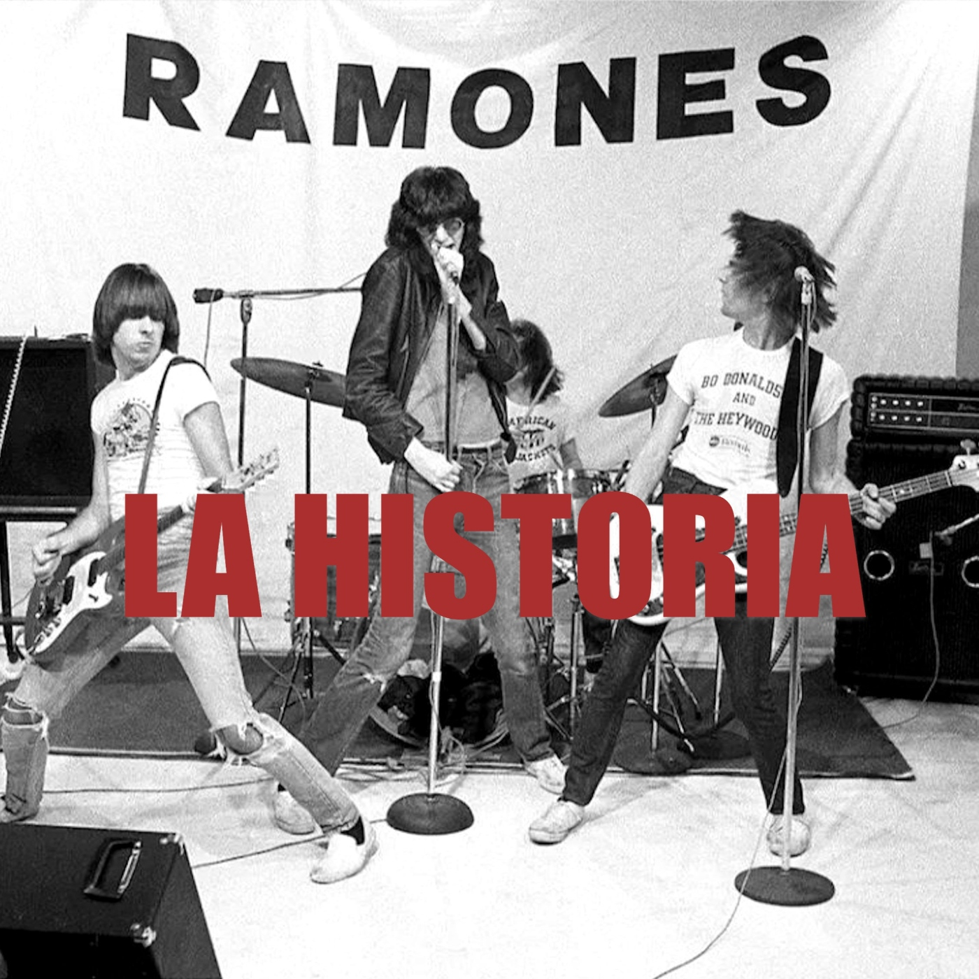 RAMONES - La historia - Especial Helvete-radio metal - Programa 307. 16/11/2025 episode artwork