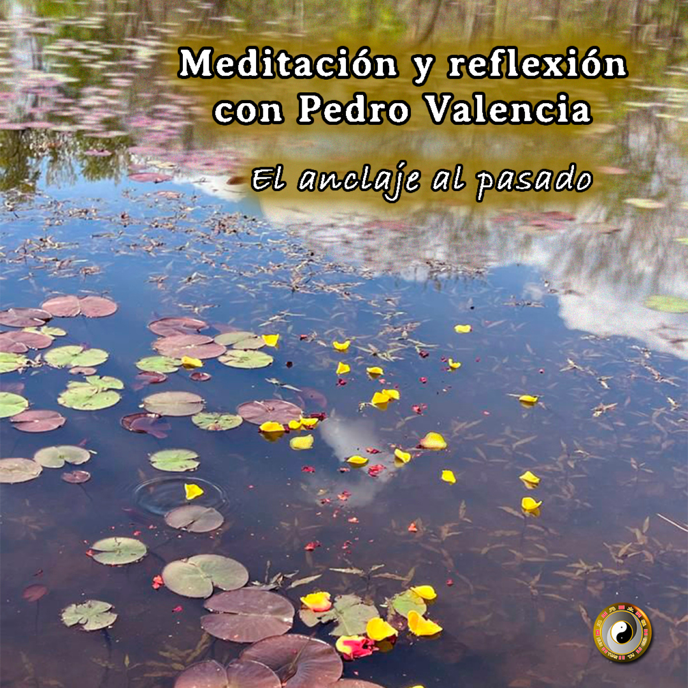 Meditación y Reflexión con Pedro Valencia