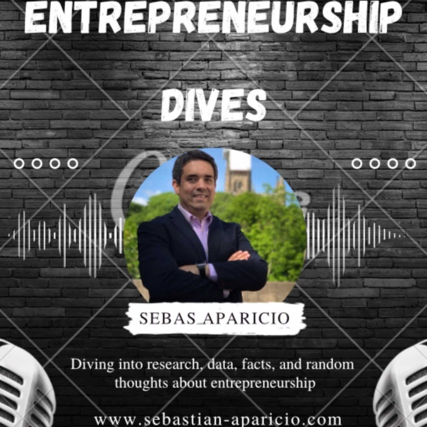 3. Entrepreneurship: Double Edged Sword for Economies episode artwork