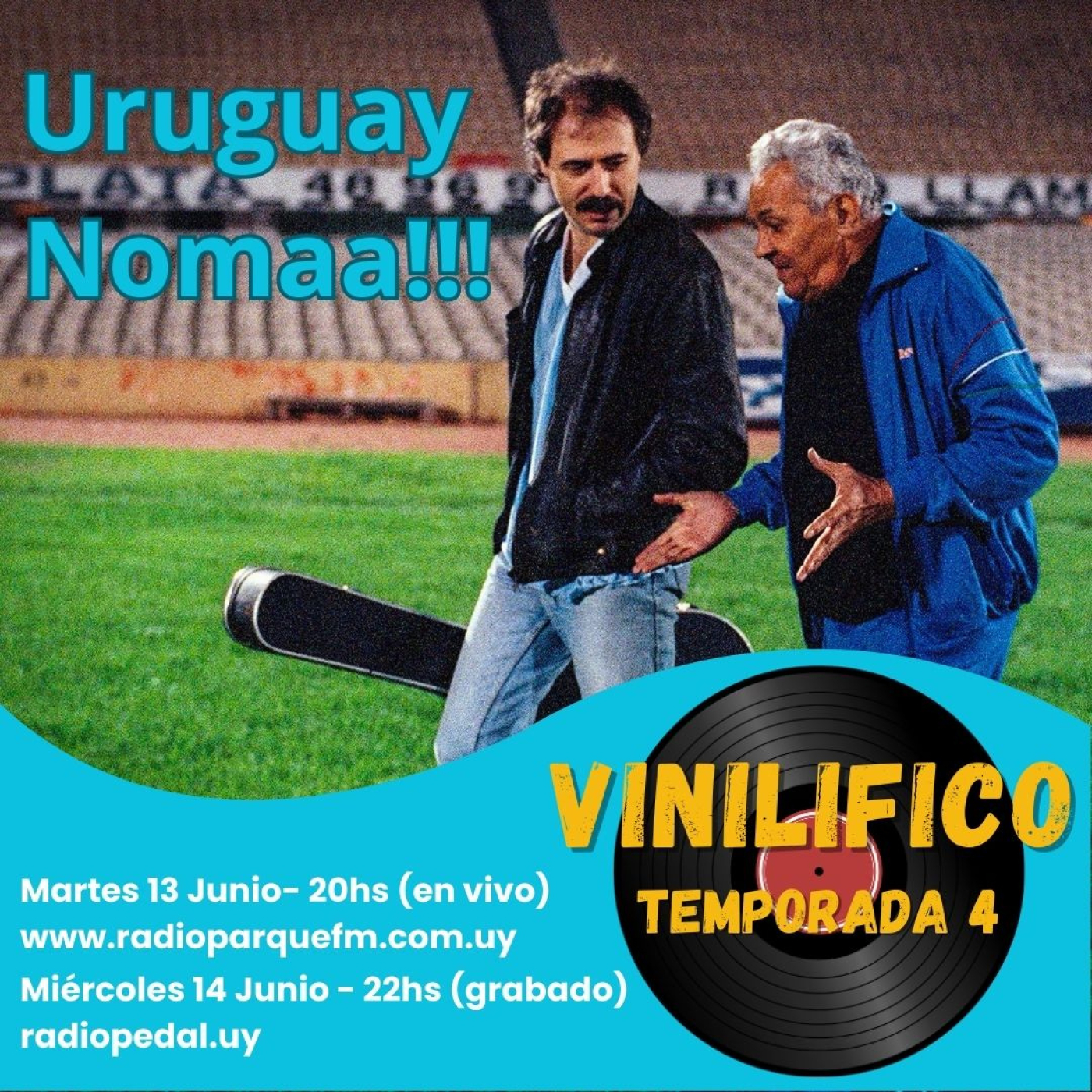 Vinilifico