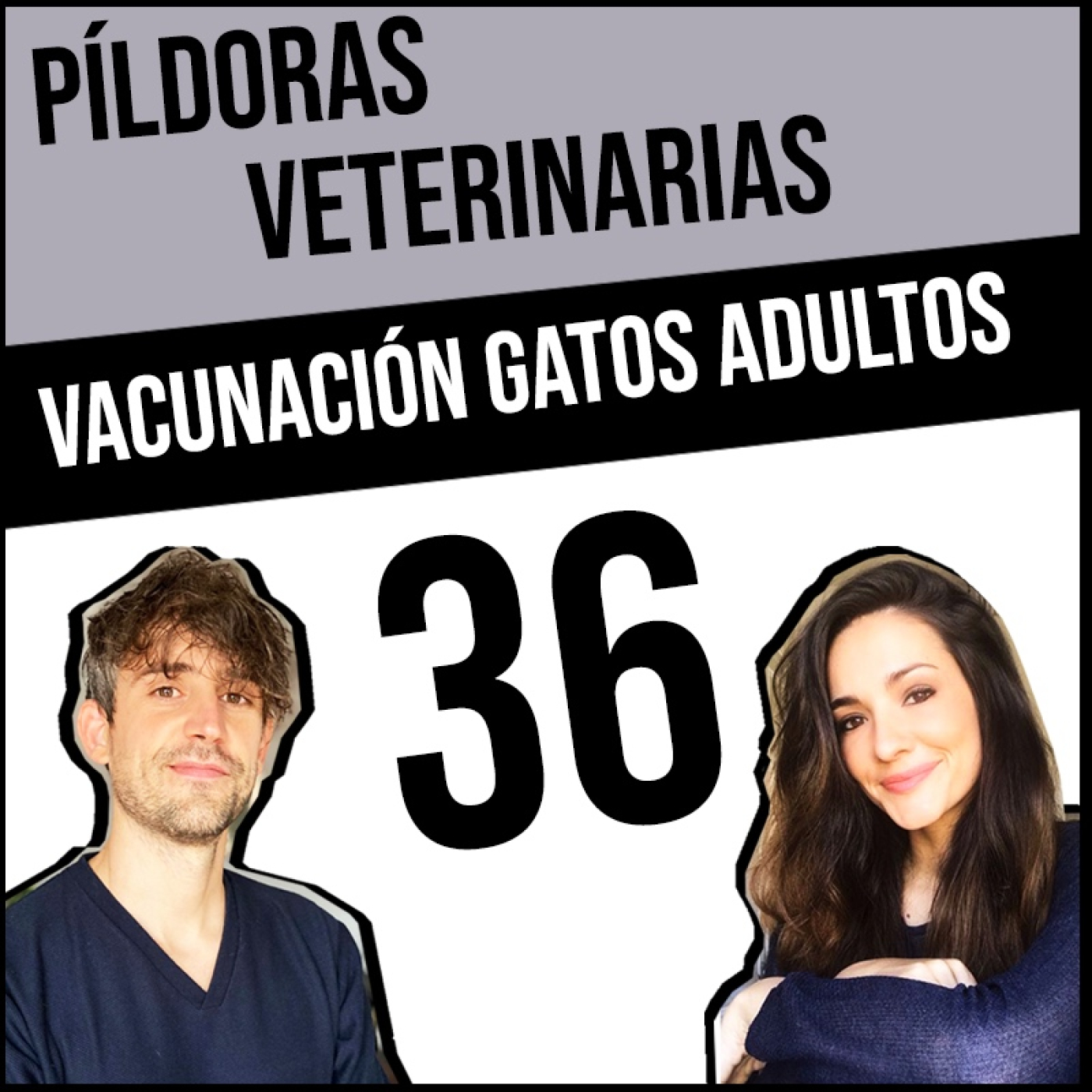 Píldoras Veterinarias