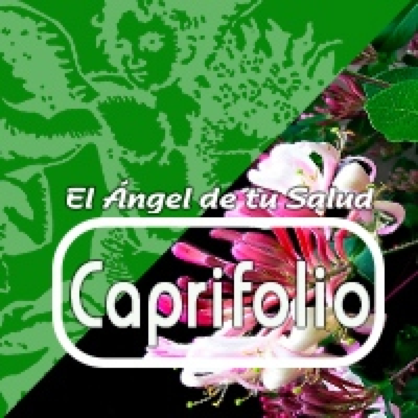 El Ángel de tu Salud - CAPRIFOLIO*** episode artwork