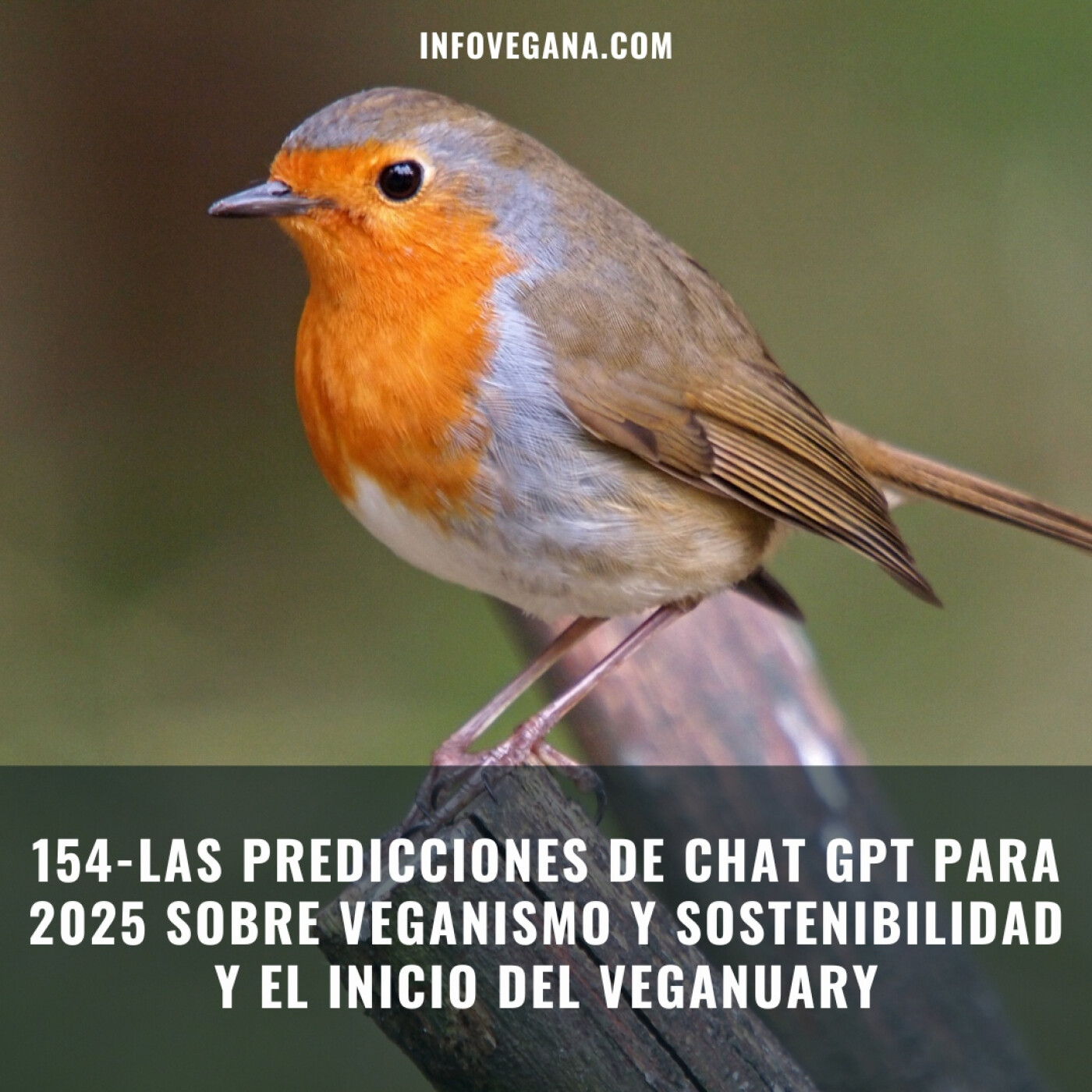 Infovegana, podcast de veganismo y sostenibilidad