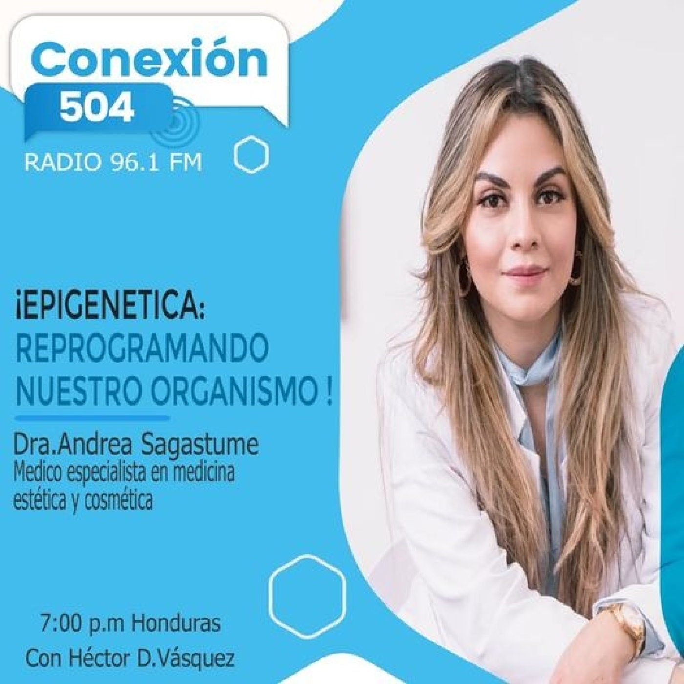 Conexión504