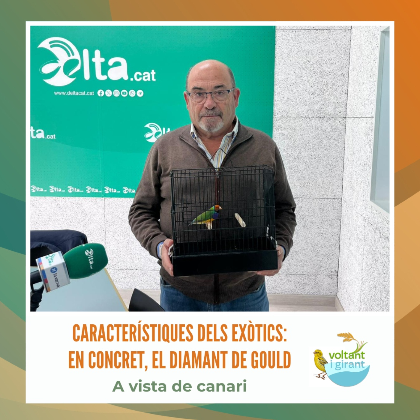 Característiques dels exòtics: en concret, el Diamant de Gould episode artwork