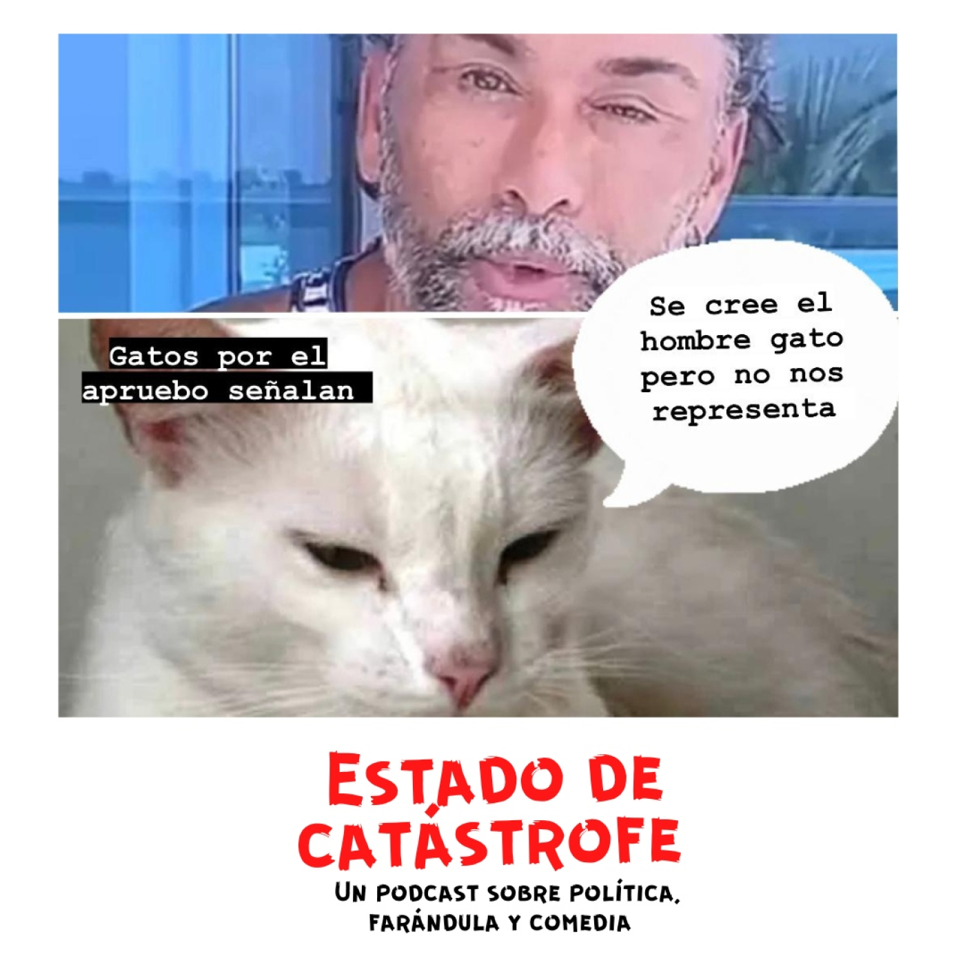Estado de Catástrofe