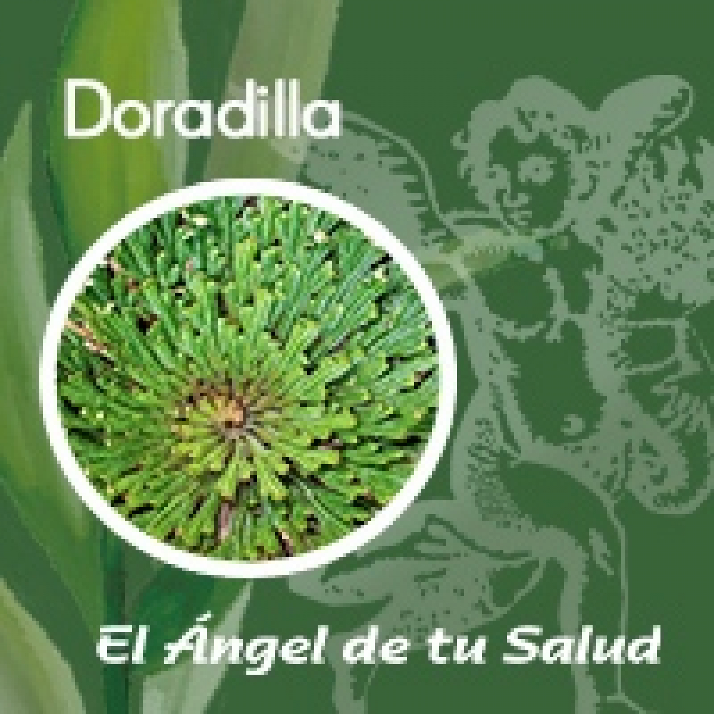El Ángel de tu Salud - Doradilla** episode artwork