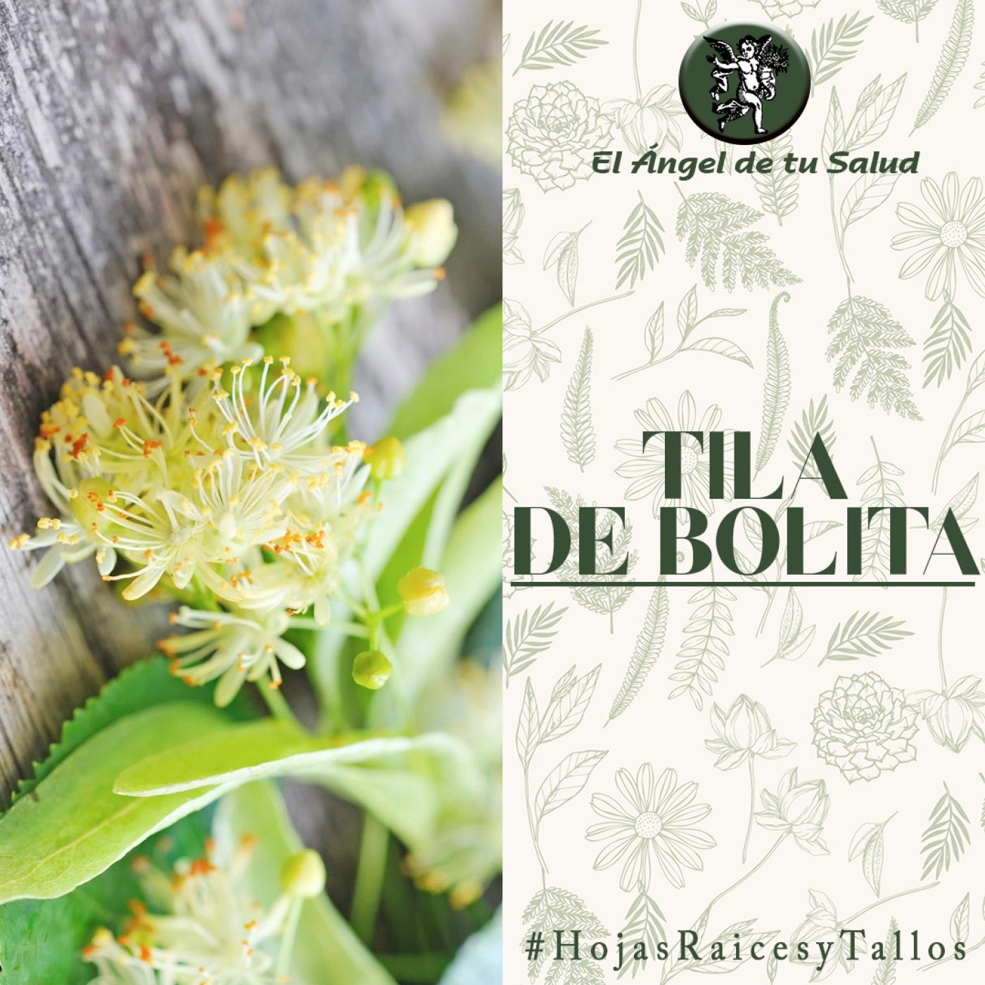 El Ángel de tu Salud - Tila de Bolita** episode artwork