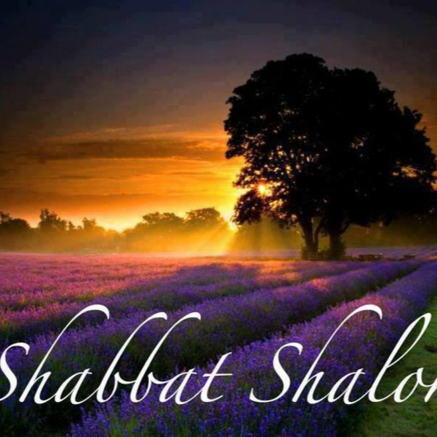 SHABBAT SHALOM