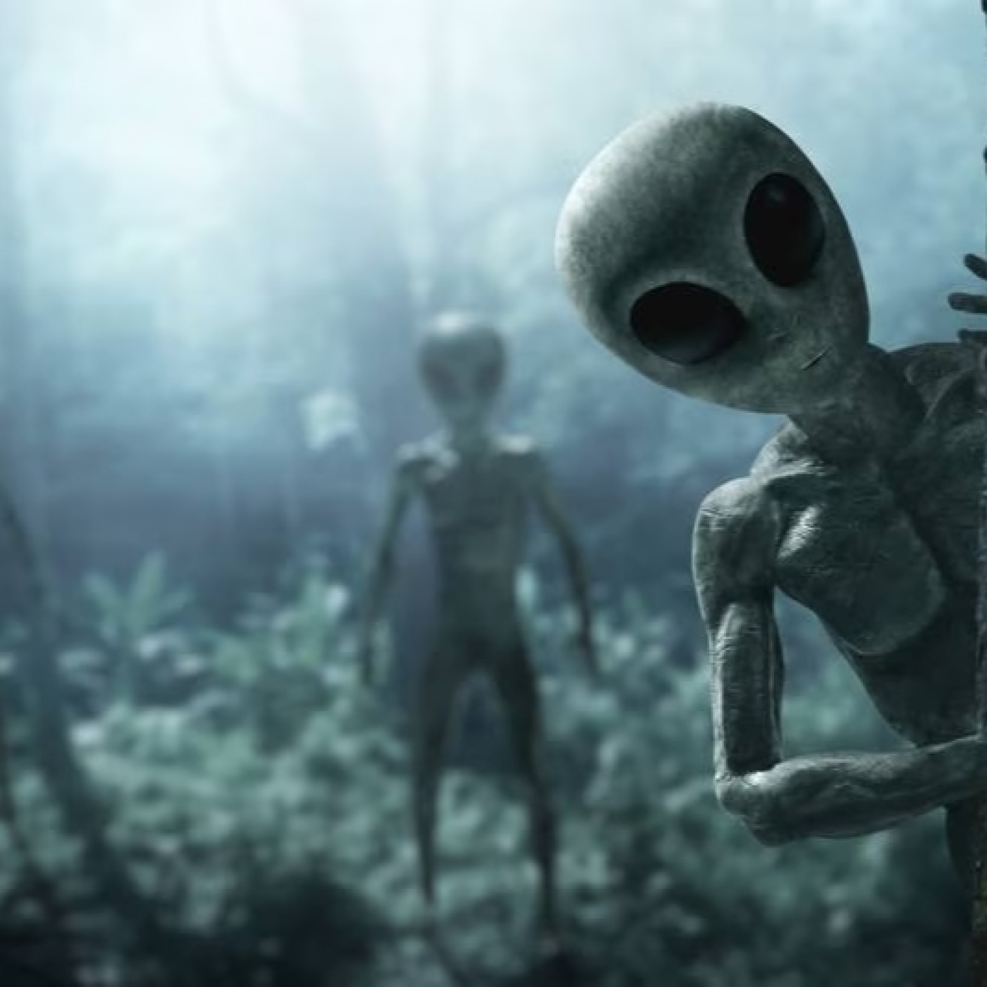 782 - ¿Cómo podrían ser los Extraterrestres?