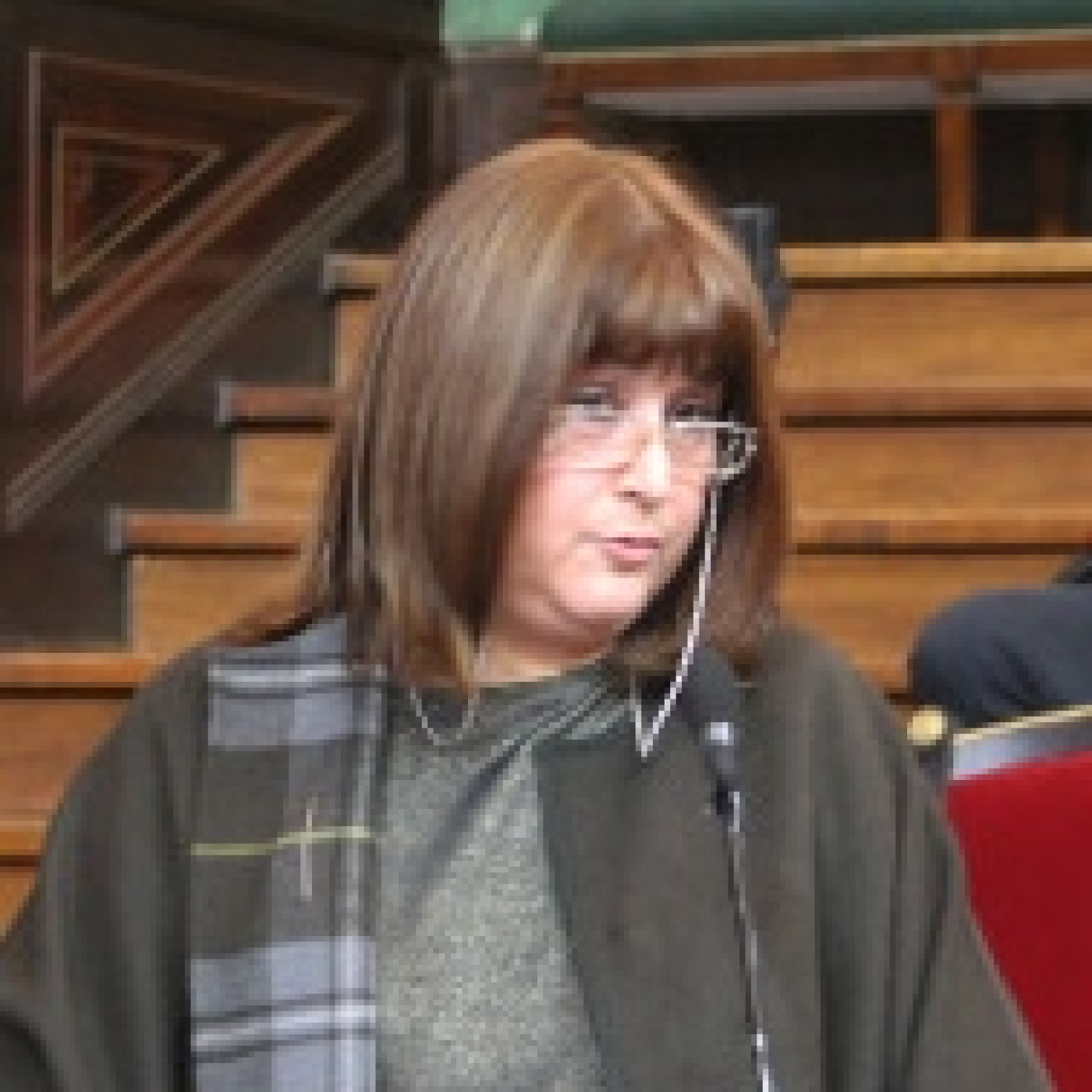 Dra Pamela Bisserier Defensora Oficial @todojusticia1