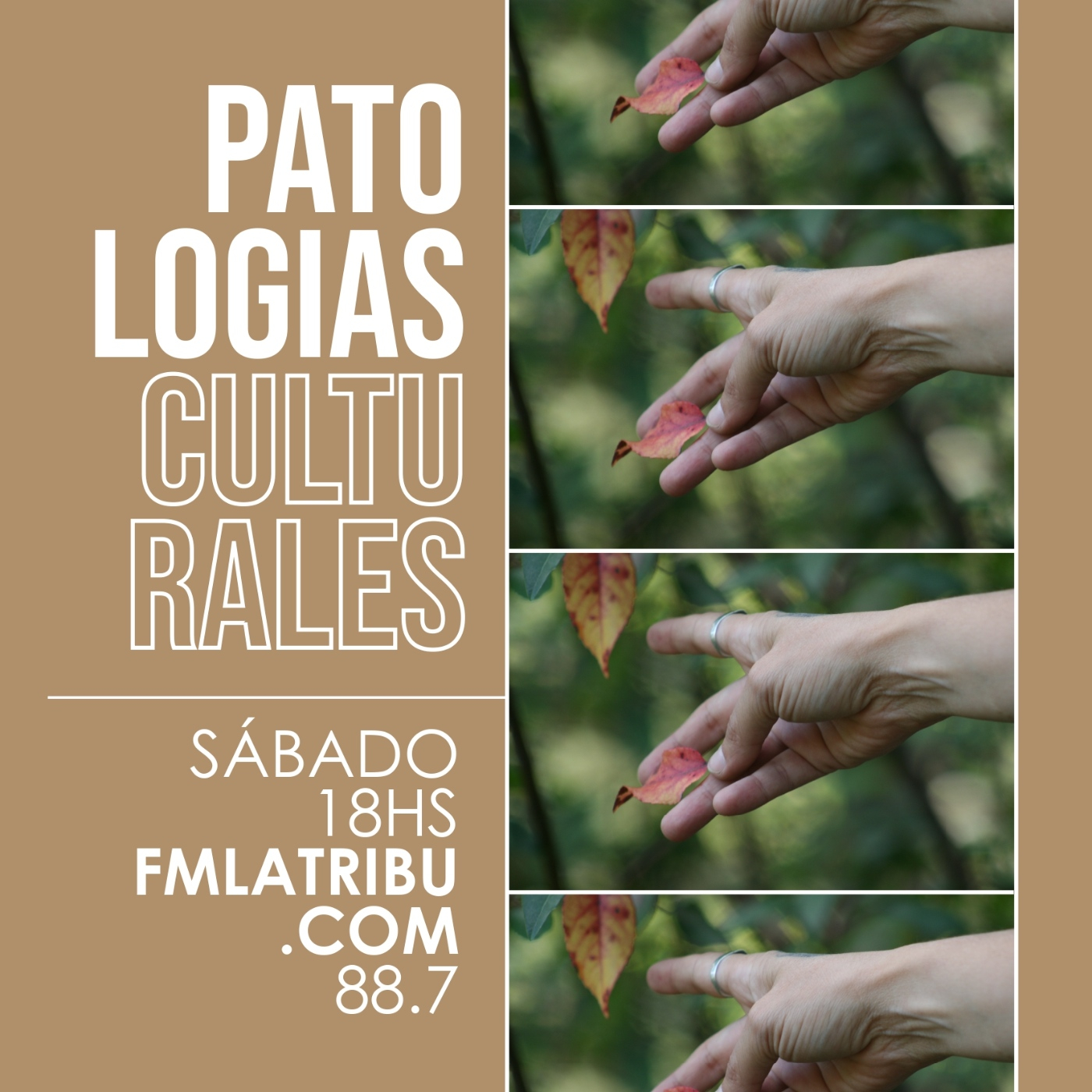 Patologías Culturales