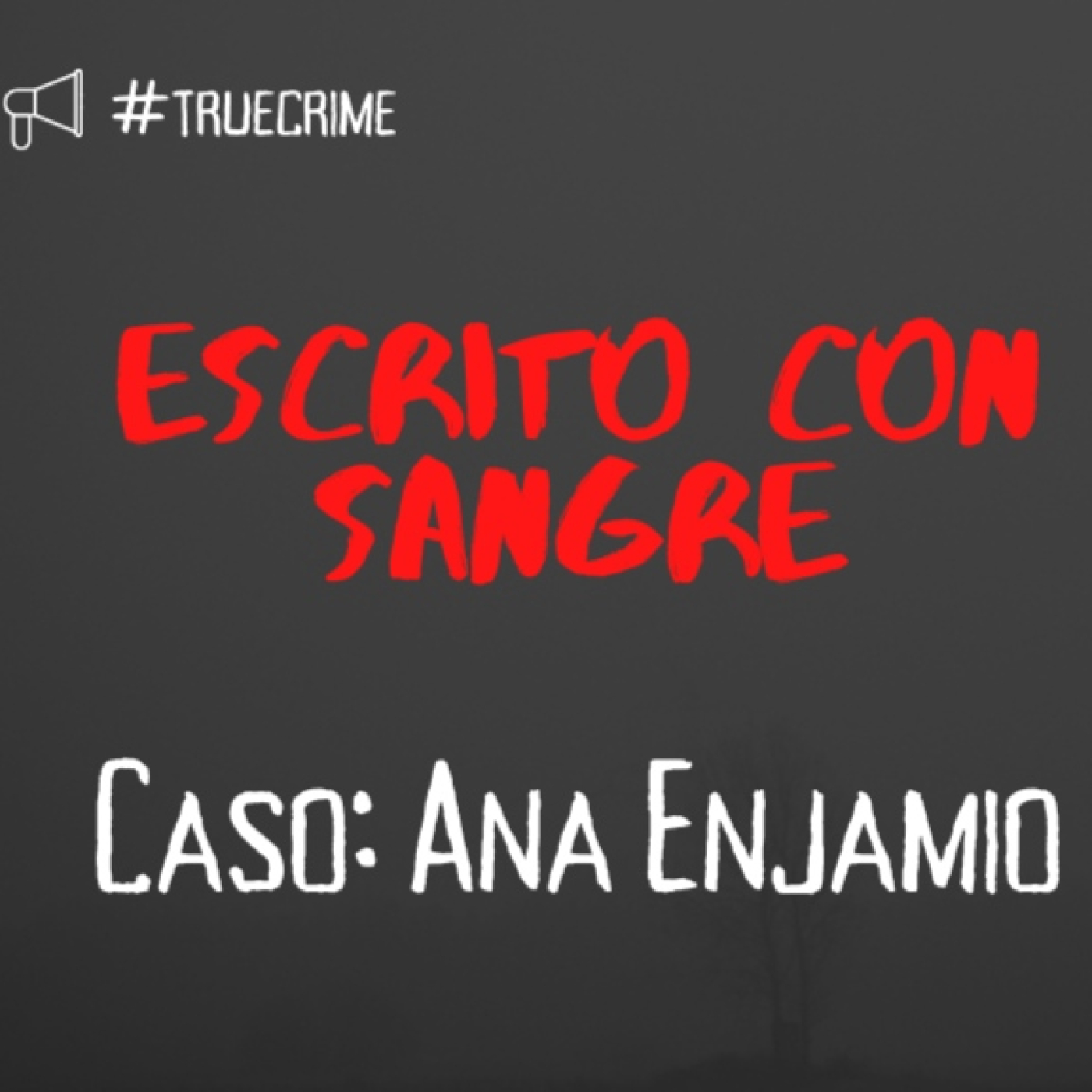 Episodio 3: El crímen de Ana Enjamio. episode artwork
