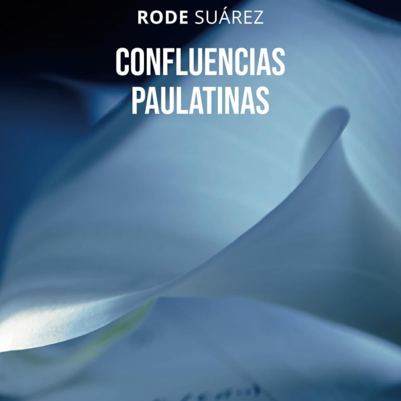 Letras Encadenadas
