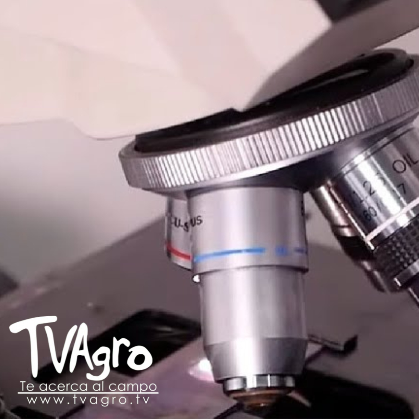 TV AGRO