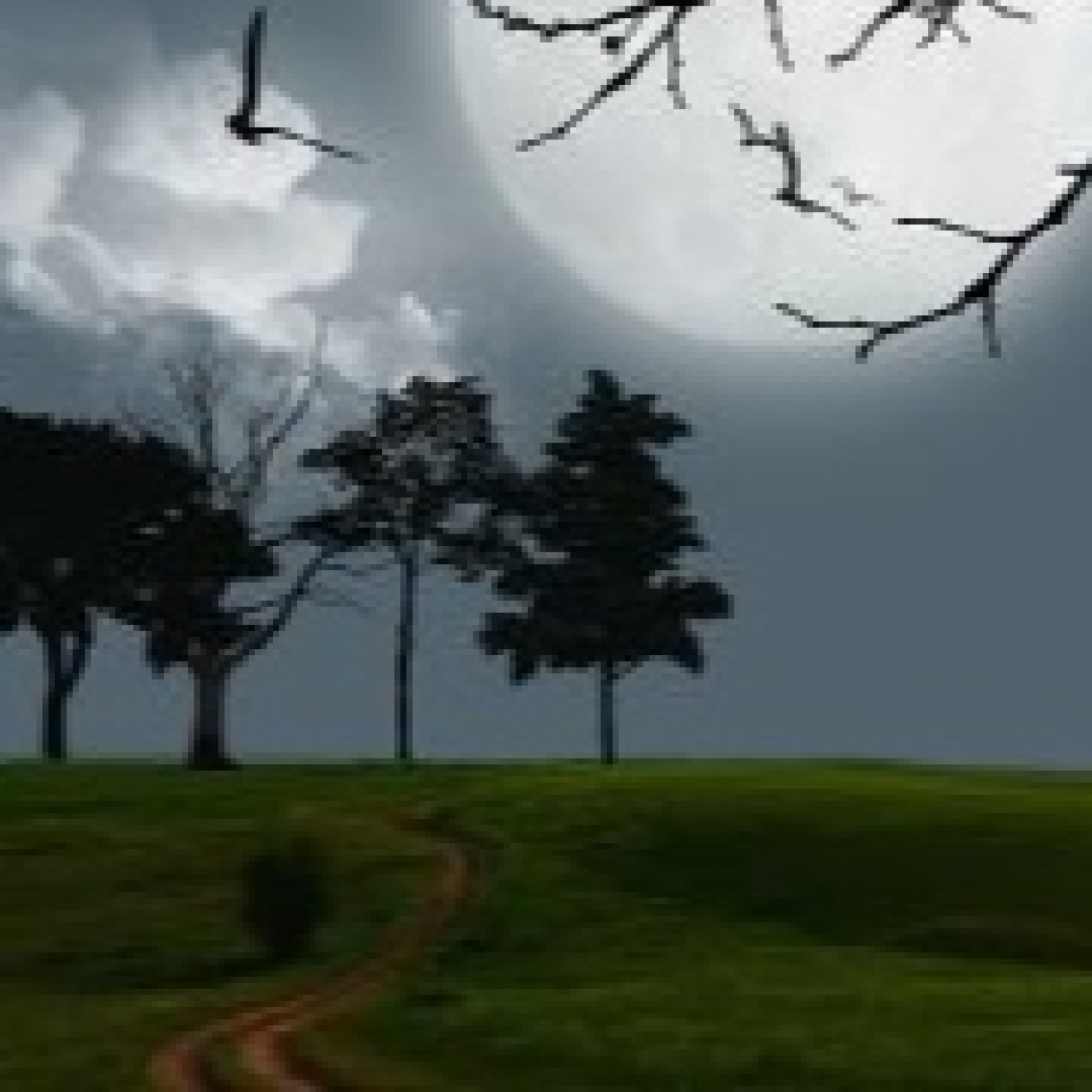 Luna y Sol