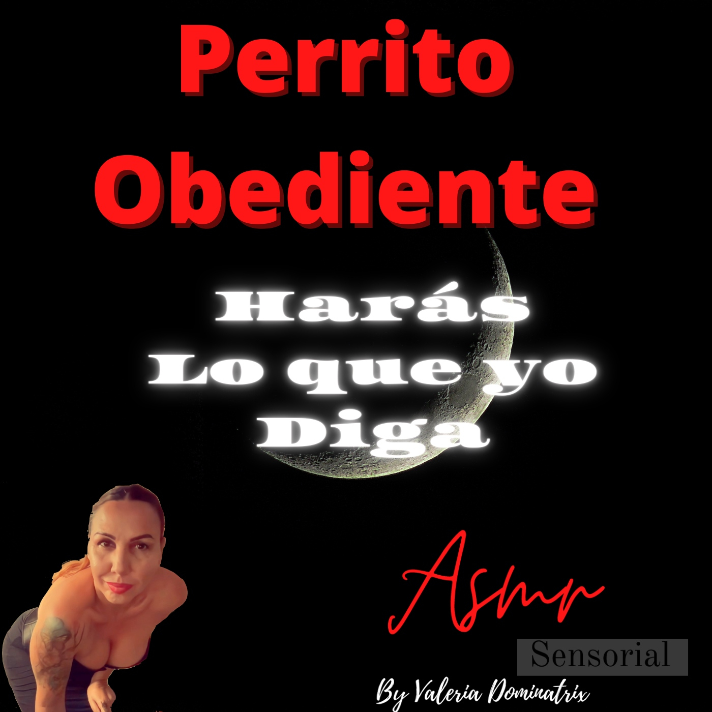 Perrito Obediente