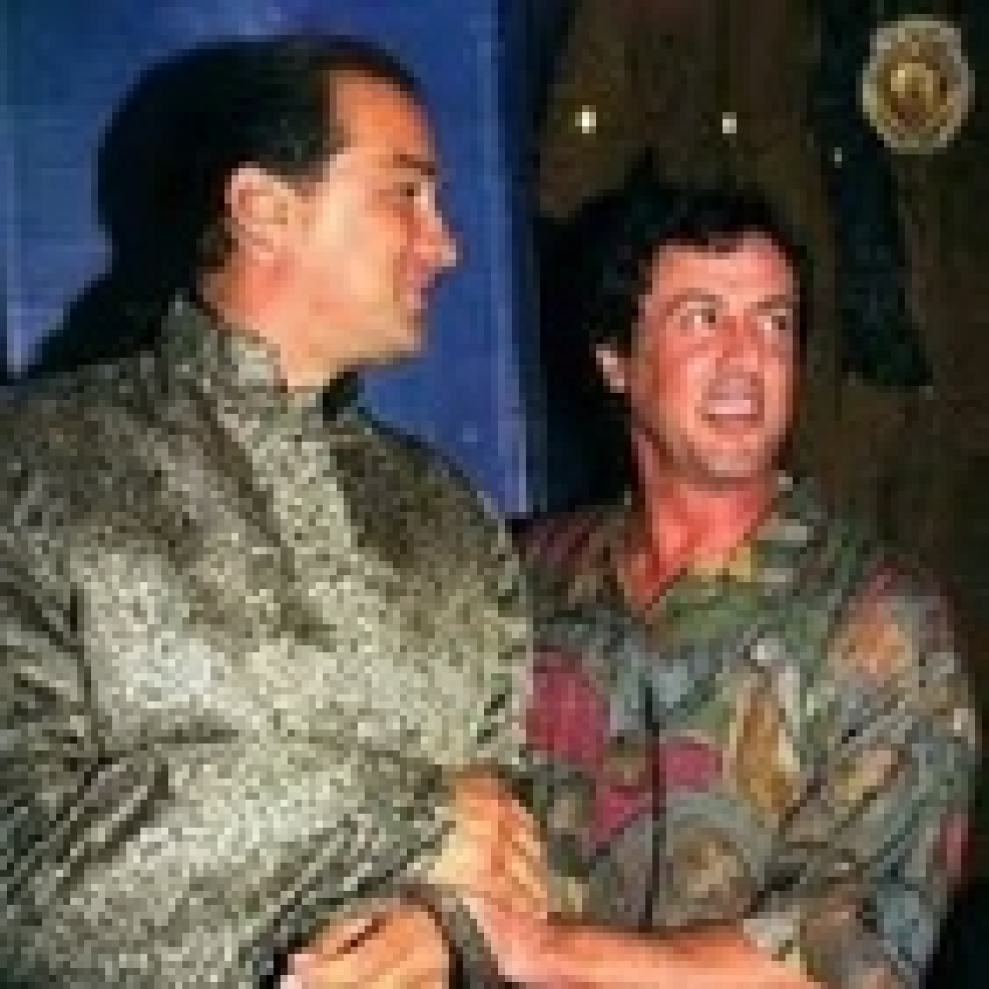 Stallone de mi vida
