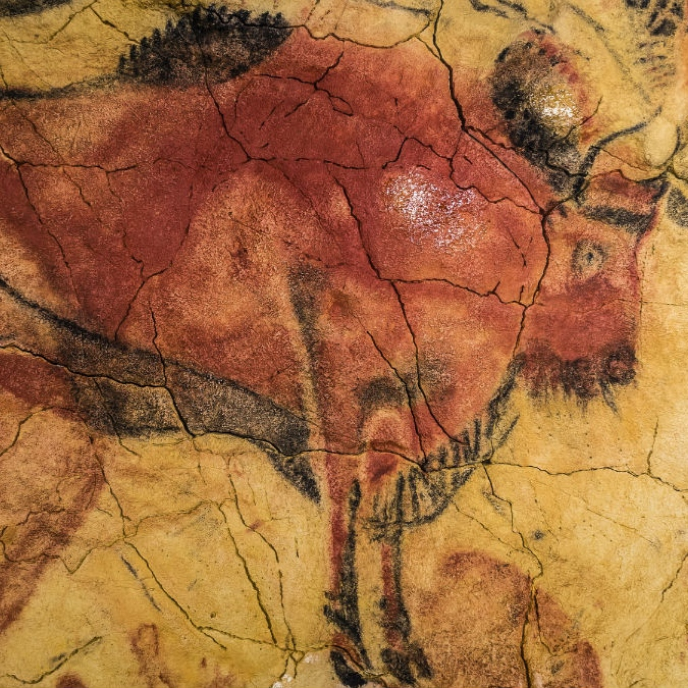 ALTAMIRA es el segundo museo estatal con mas visitantes episode artwork