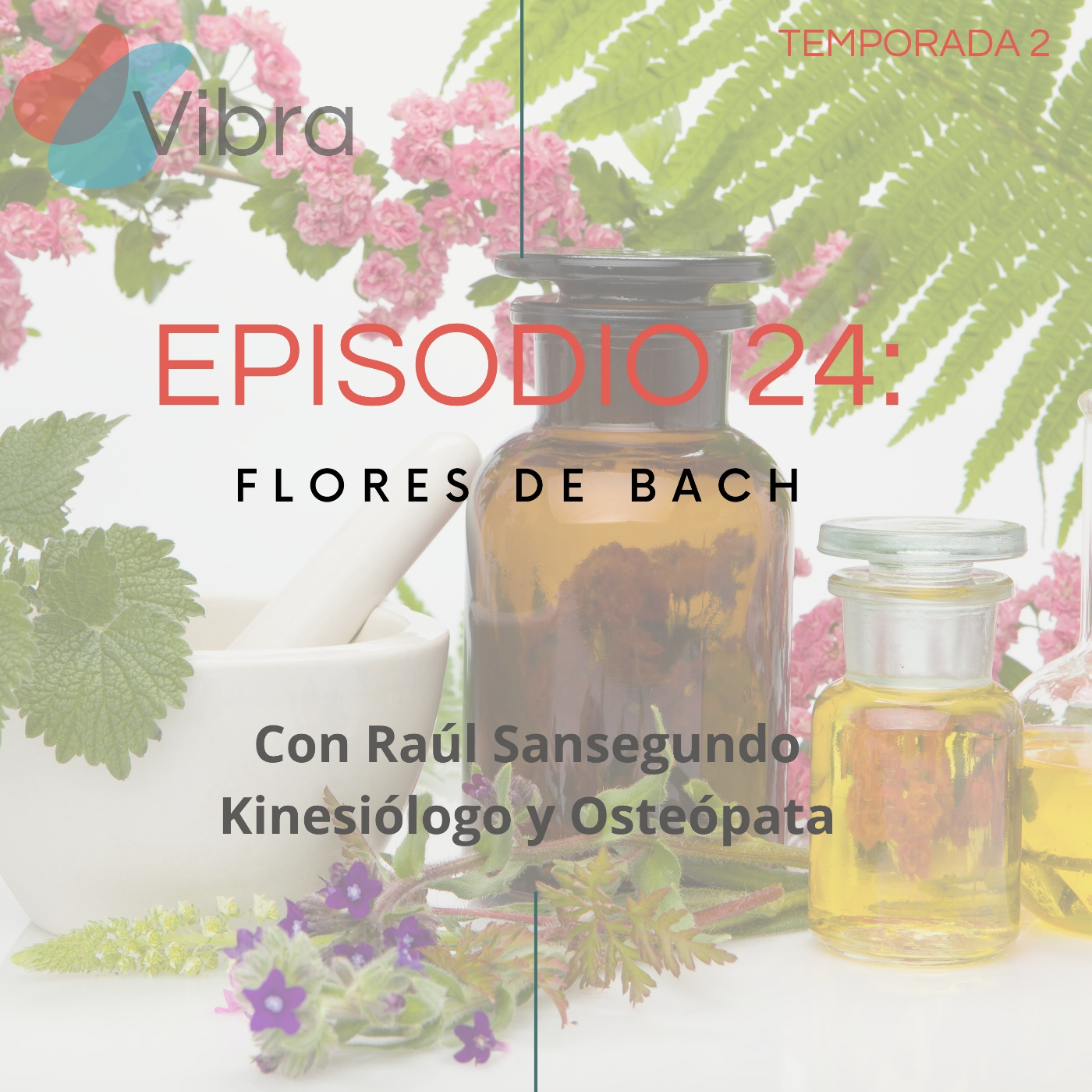 Vibra:el Podcast