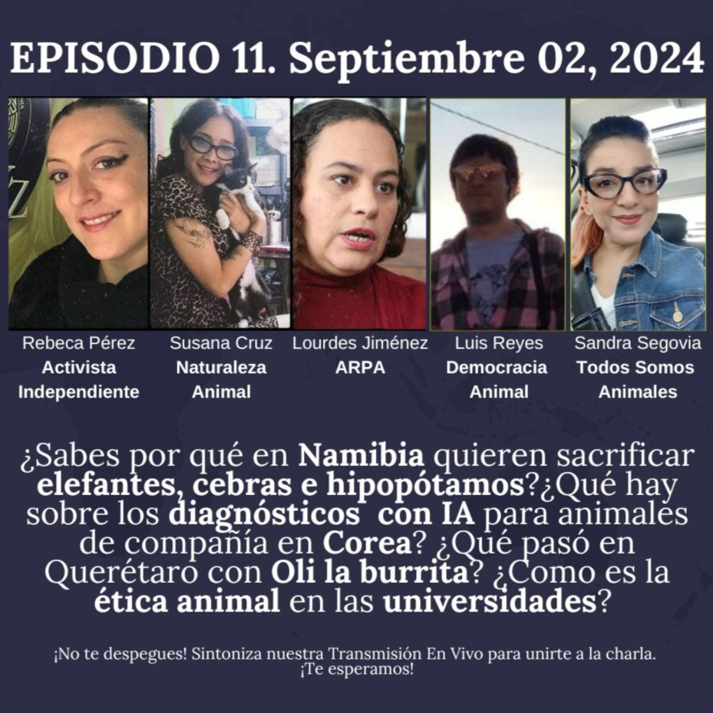 Todos Somos Animales News