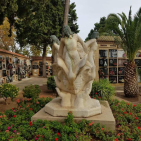 embed image