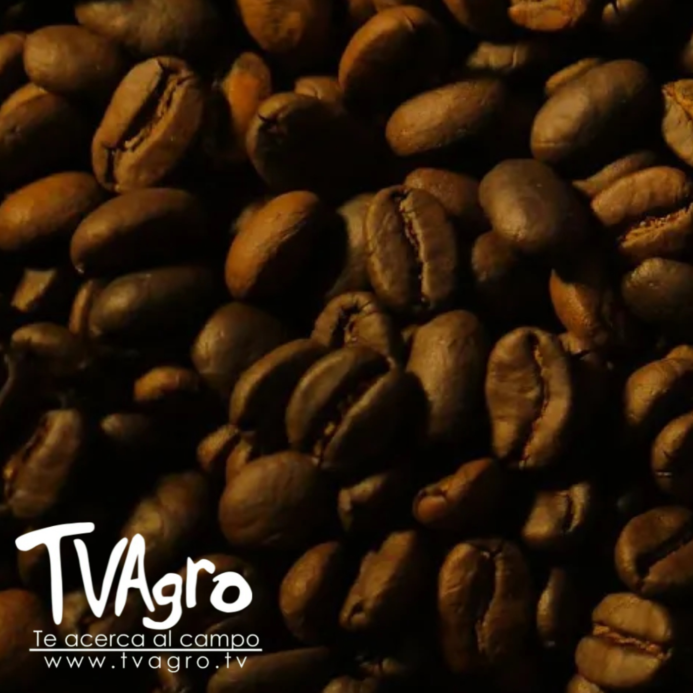 TV AGRO