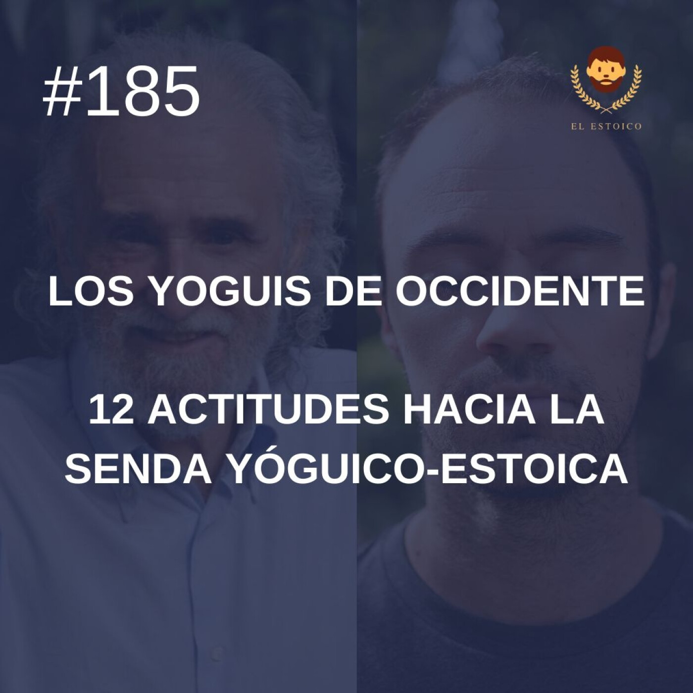 #185 - 12 Actitudes Básicas en la senda hacia la mente Yóguico-Estoica, con Ramiro Calle (Los Yoguis de Occidente) episode artwork