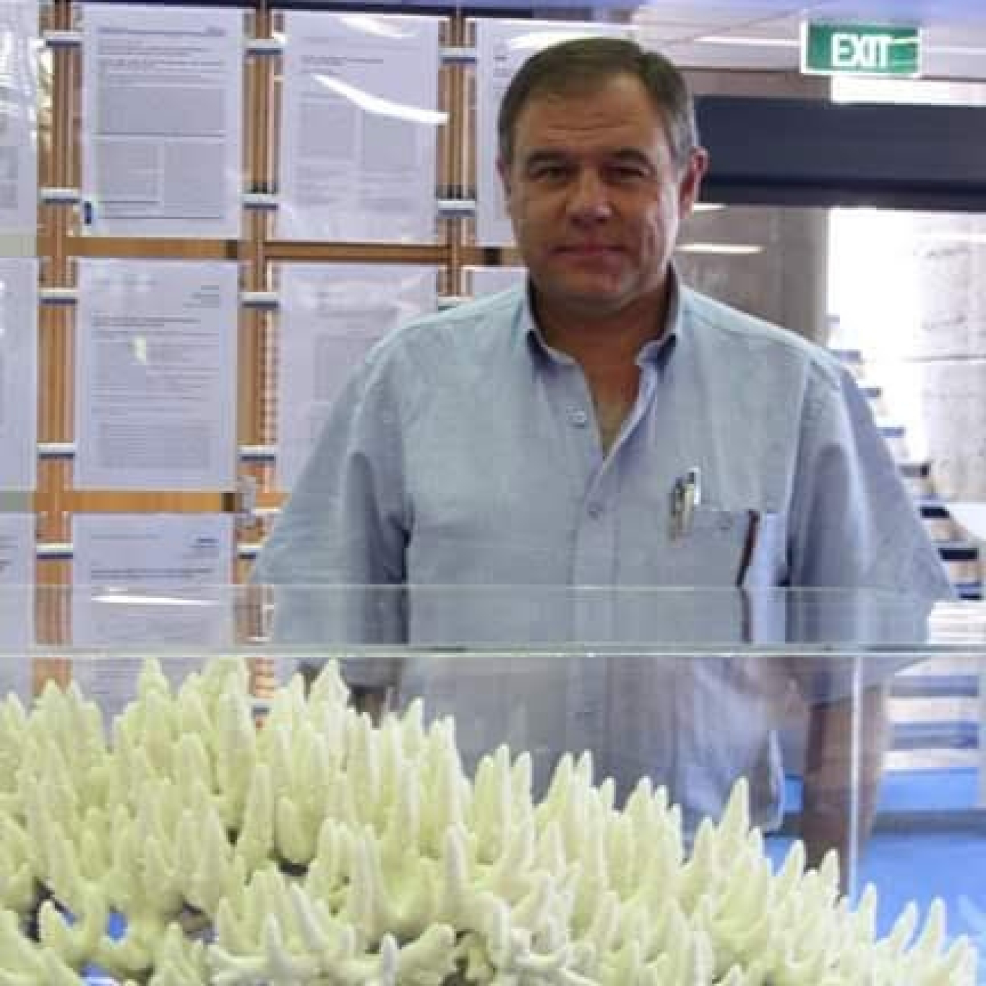 Entrevistas Varias