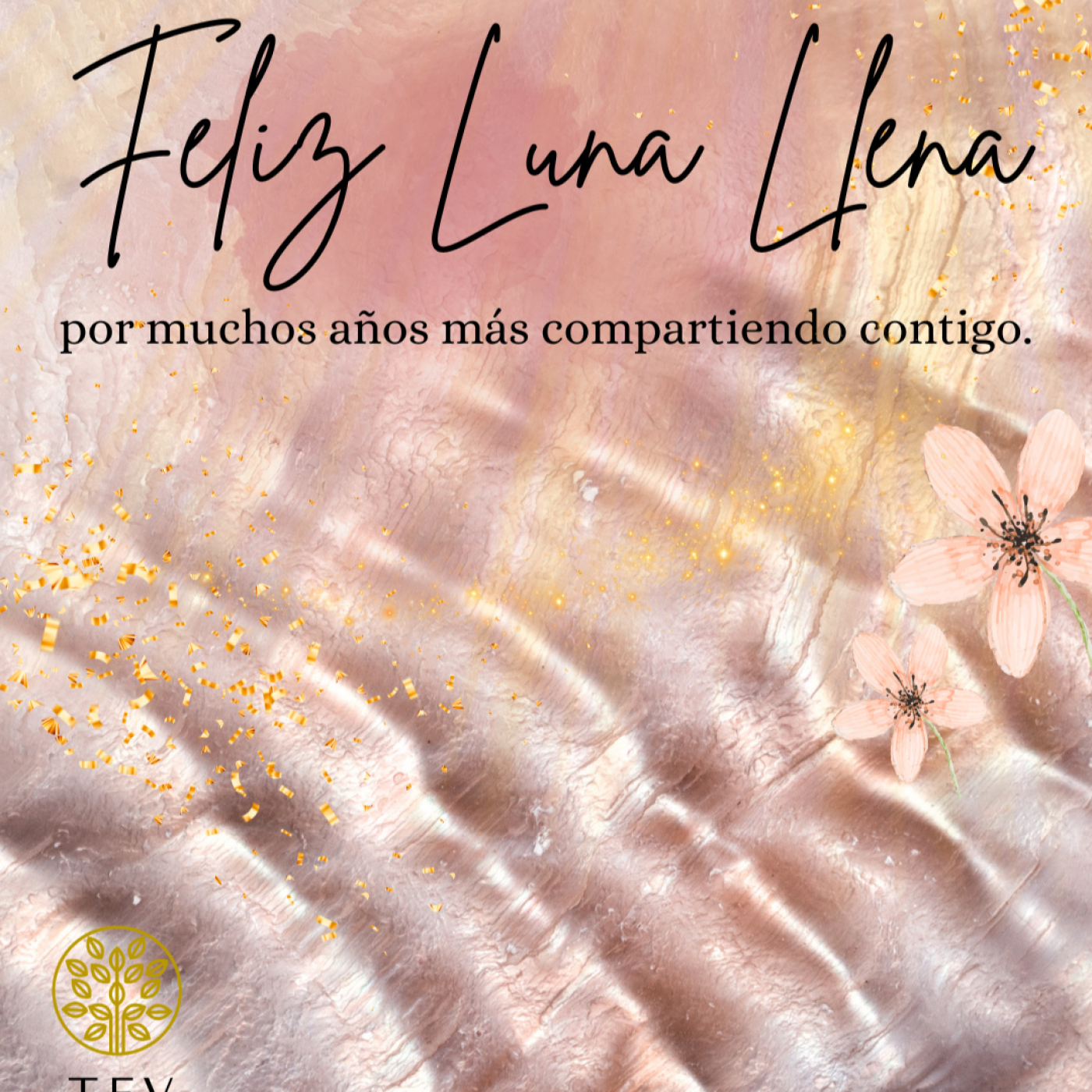 MEDITACIONES EN FEMENINO