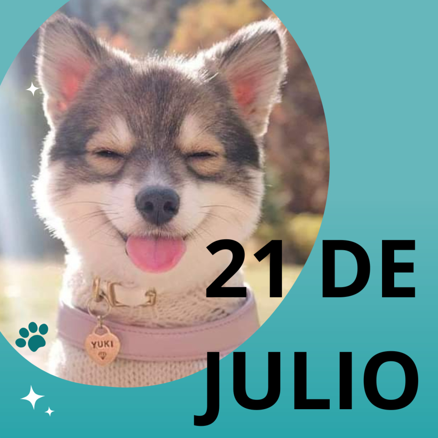 21 de Julio // Viernes día del perro, comida chatarra y Black Sabbath episode artwork