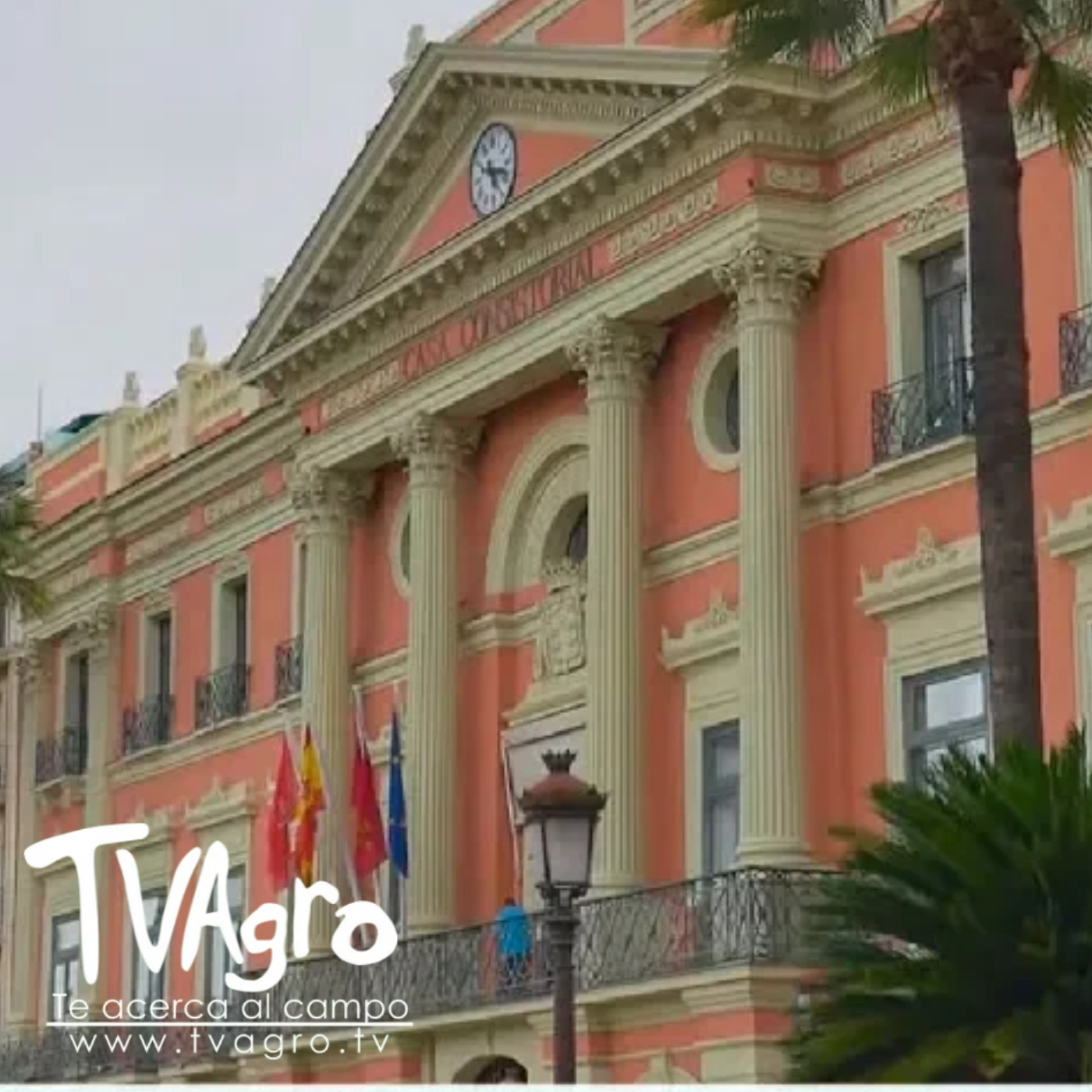 TV AGRO