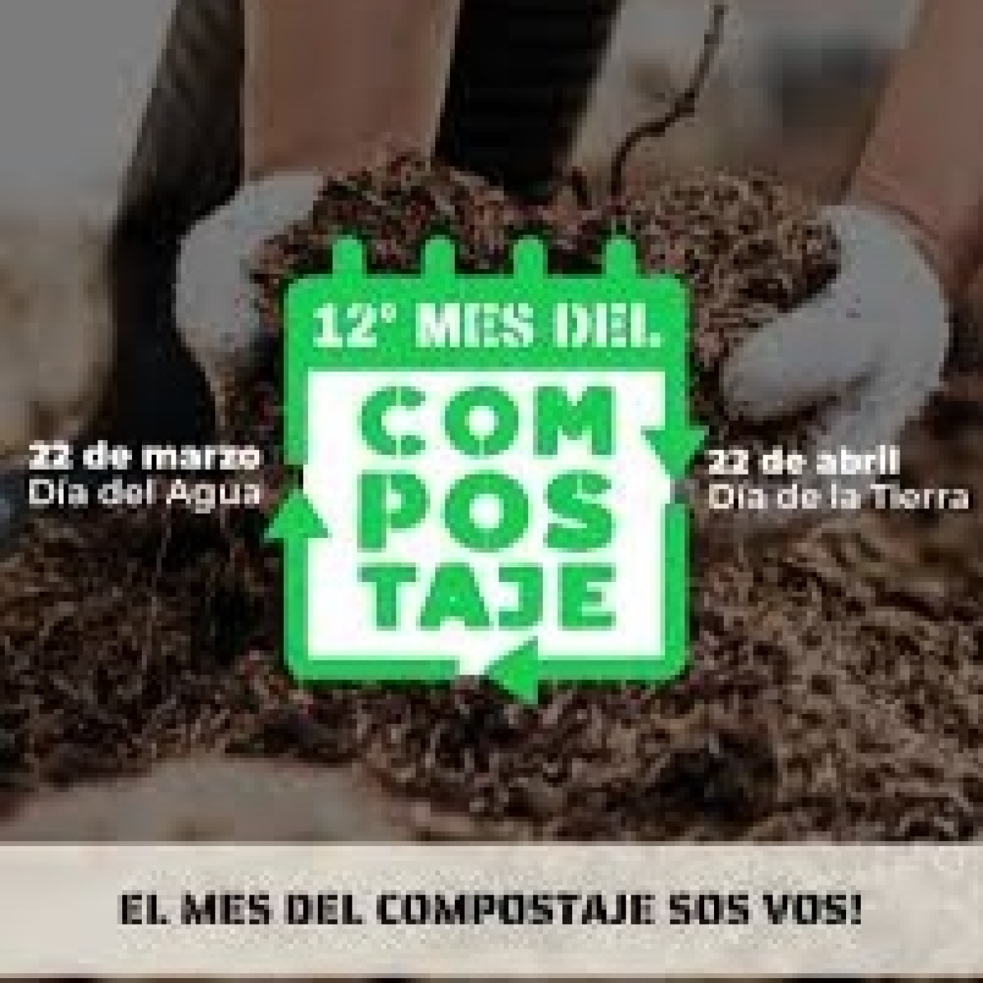 Eco Vida Ambiente