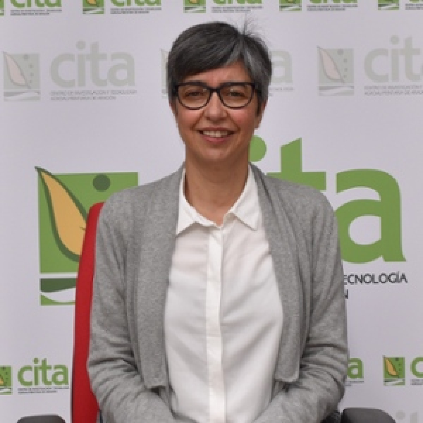 CITA de Aragón: Apariciones en radio