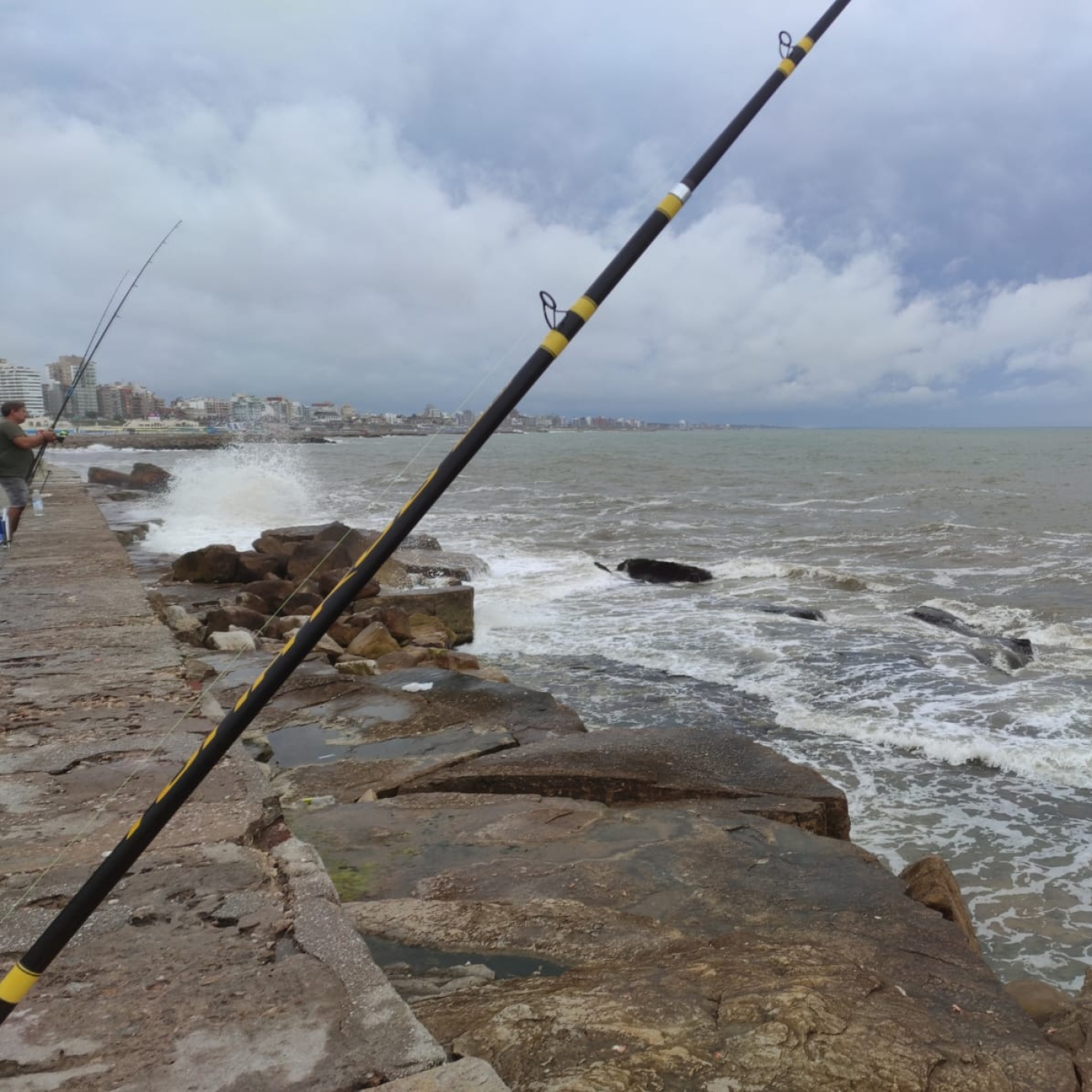 INFOPESCA MDQ